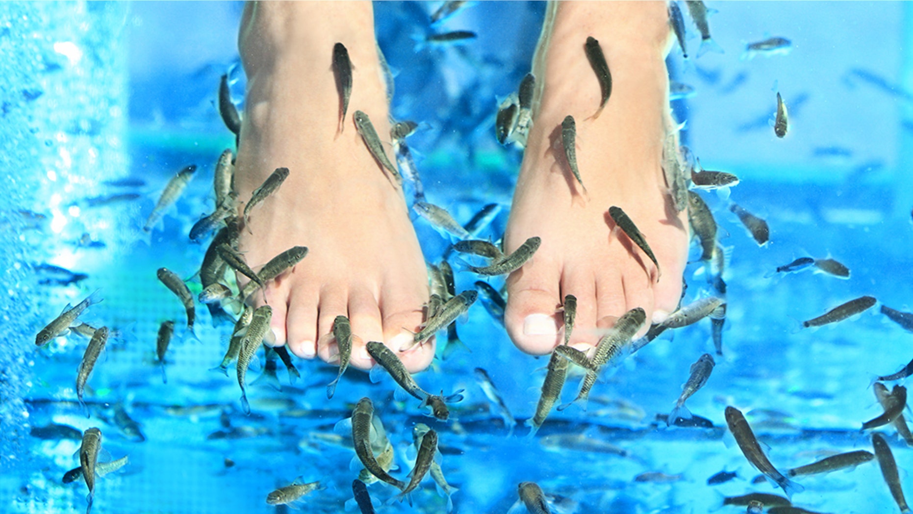 A woman reportedly lost her toenails after getting a fish pedicure.