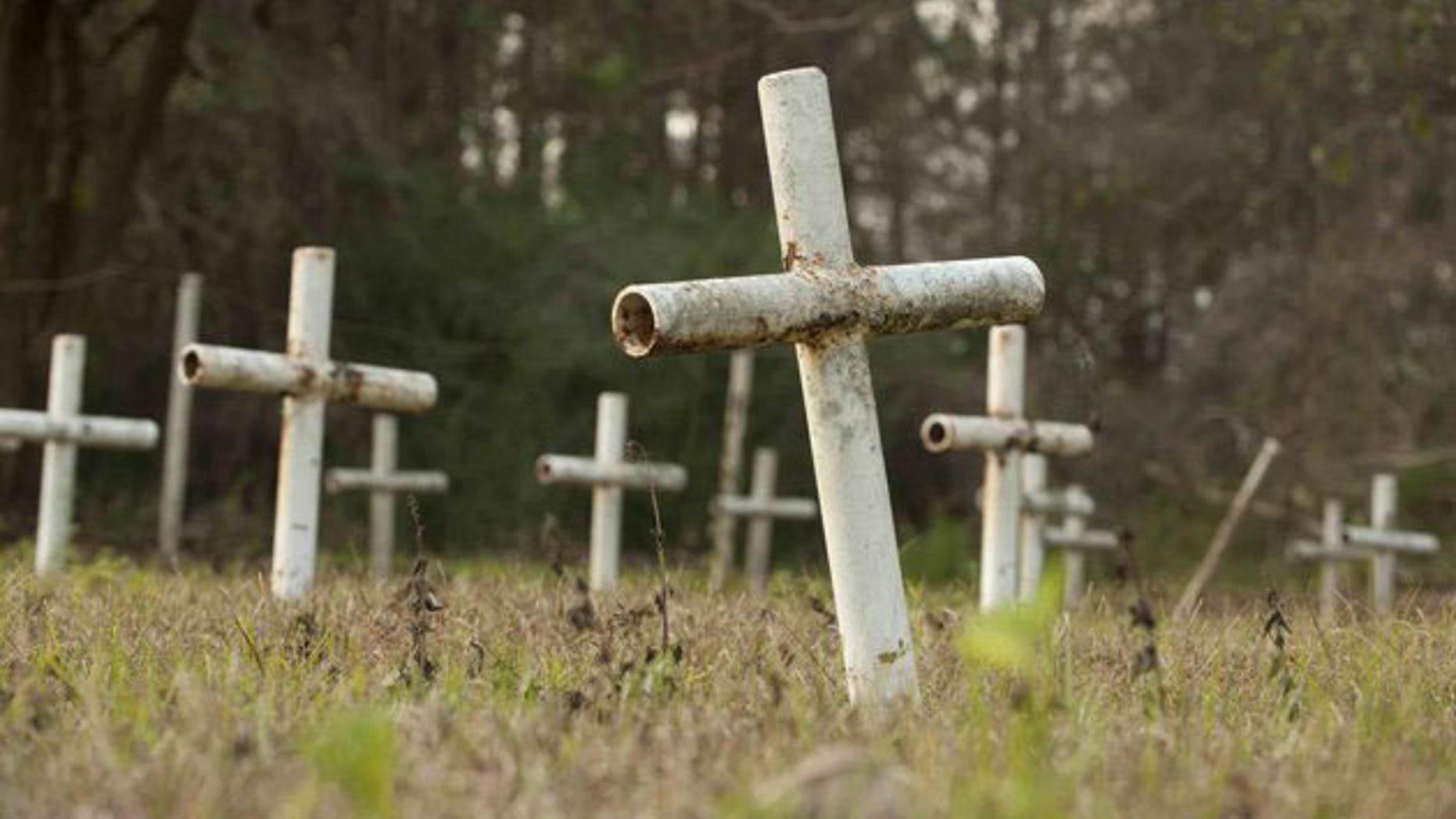 Unaccounted graves found at reform school in Florida