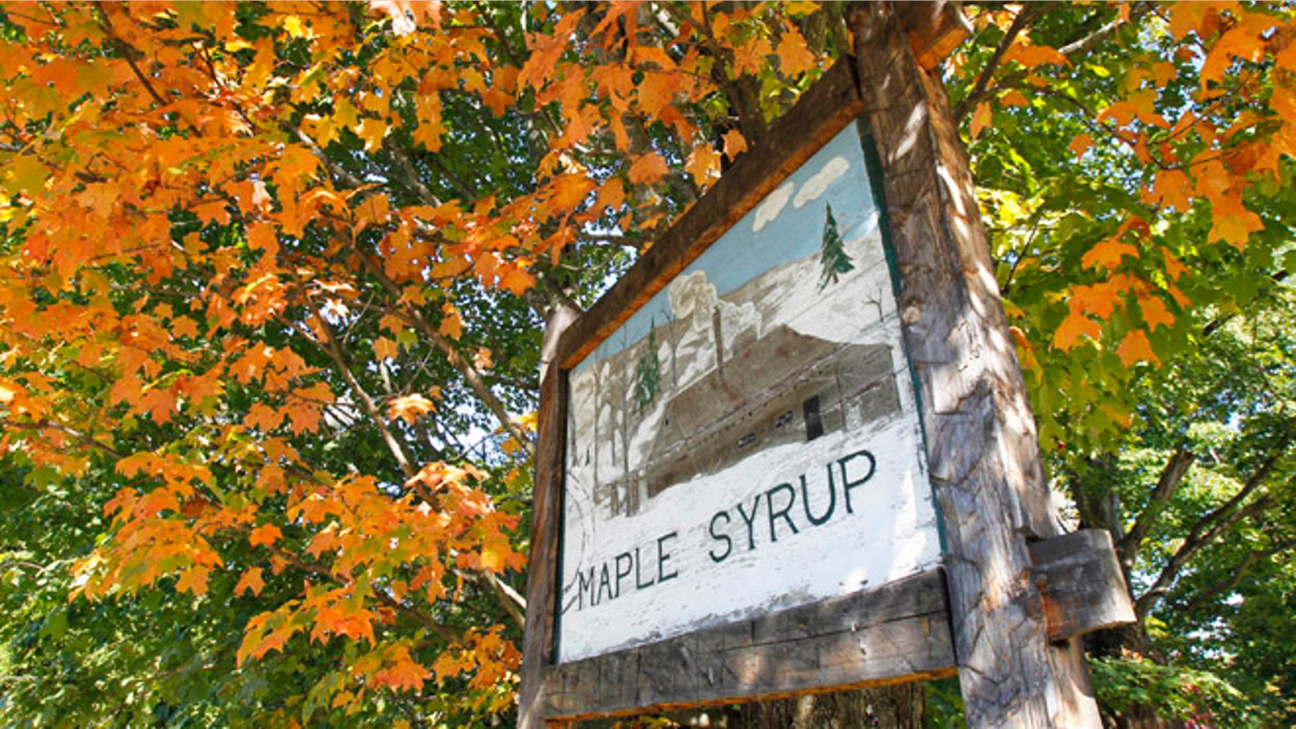 Sept. 12, 2012: Colorful leaves hang on a tree in Craftsbury, Vt.