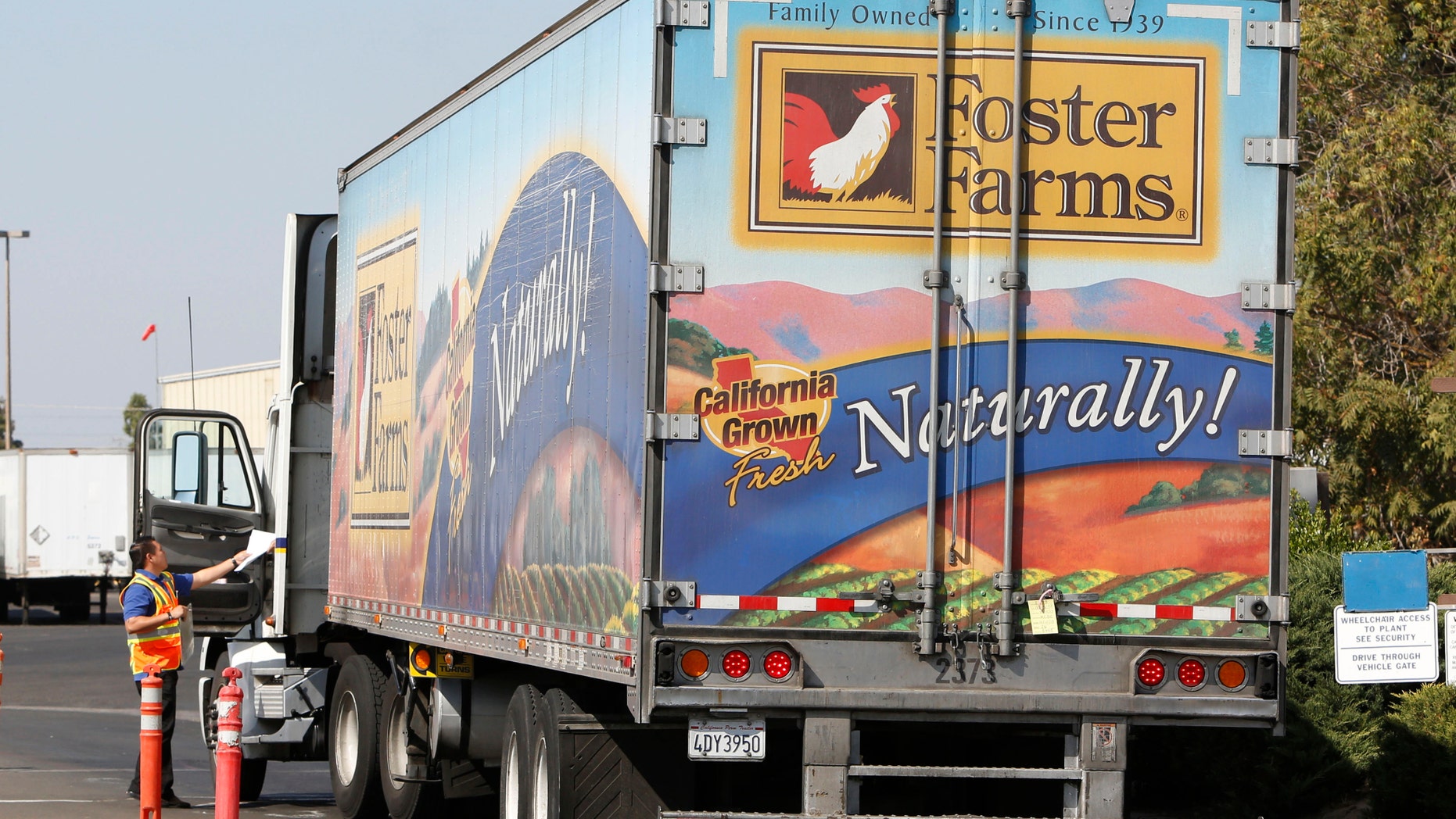 A truck enters the Foster Farms processing plant on Thursday, Oct. 10, 2013, in Livingston, Calif. (AP Photo/Rich Pedroncelli)