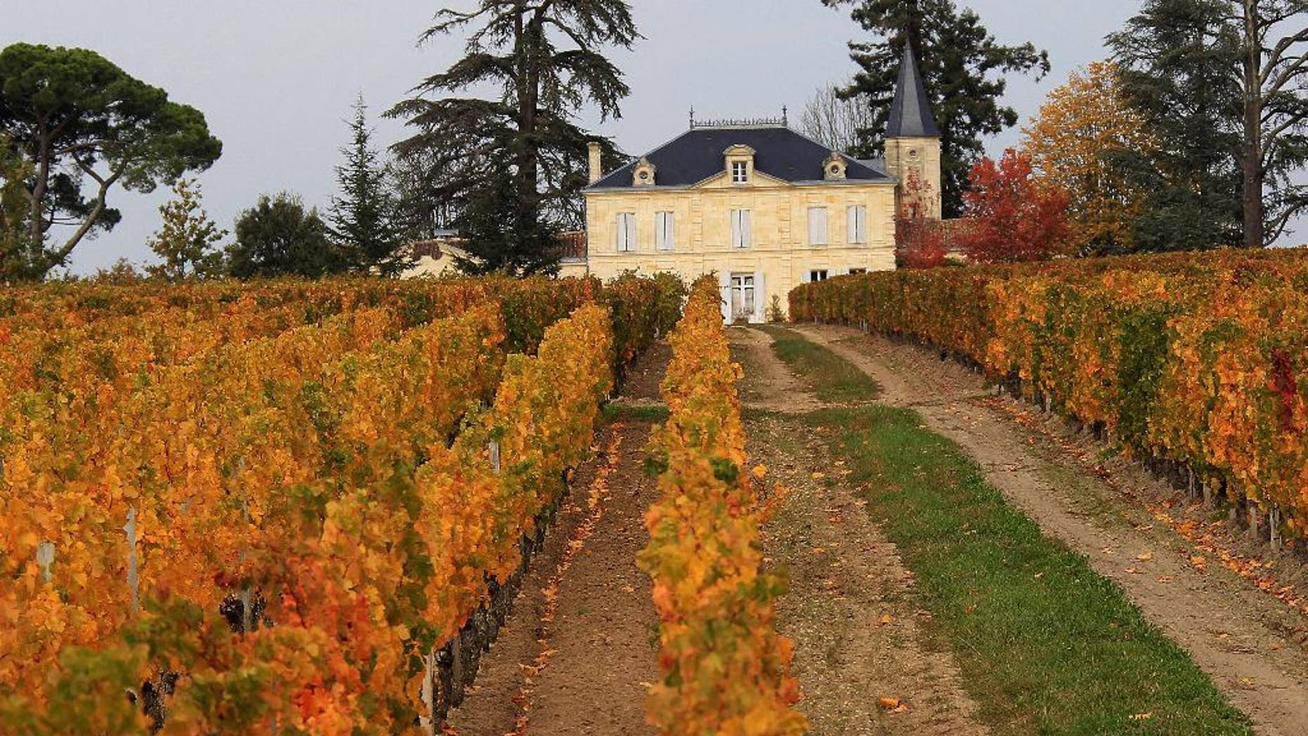 FILE - This is a Monday, Oct. 26, 2015 file photo of the vineyards of the prestigious Cheval Blanc in Saint Emilion, western France. Saint-Emilion is one of the principal red wine areas of Bordeaux along with the Medoc, Graves and Pomerol. The European Union's farm federation assessed the 2015 grape harvest and said Wednesday Nov. 4, 2015 that excellent weather in many member states had pushed up production by 2.7 percent.(AP Photo/Bob Edme, File)