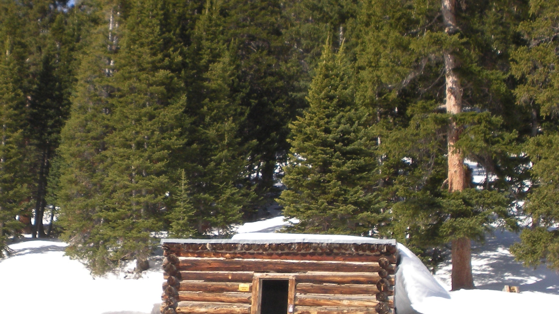 April 6: This photo provided by the U. S. Forest Service shows the Conundrum Creek Cabin, in the White River National Forest, near Aspen, Colo., where as many as six cows remain that froze to death.