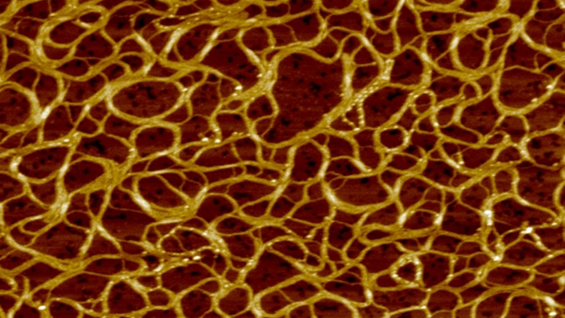 A net of fibers within a novel synthetic gel.