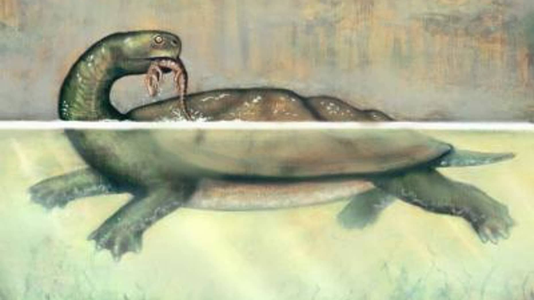 This is a reconstruction of Carbonemys preying upon a small crocodylomorph.