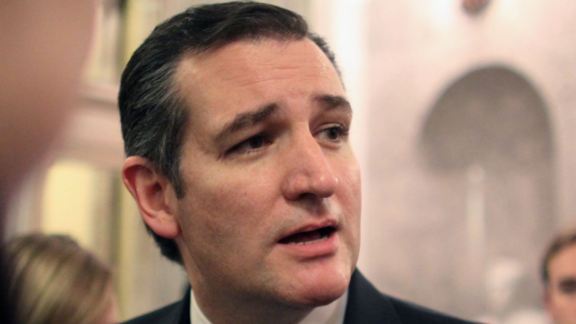 FILE - In this Dec. 13, 2014 file photo, Sen. Ted Cruz, R-Texas talks with reporters on Capitol Hill in Washington. More than a dozen potential Republican candidates are contemplating White House bids in 2016 in whats shaping up as a crowded and diverse field. (AP Photo/Lauren Victoria Burke, File)