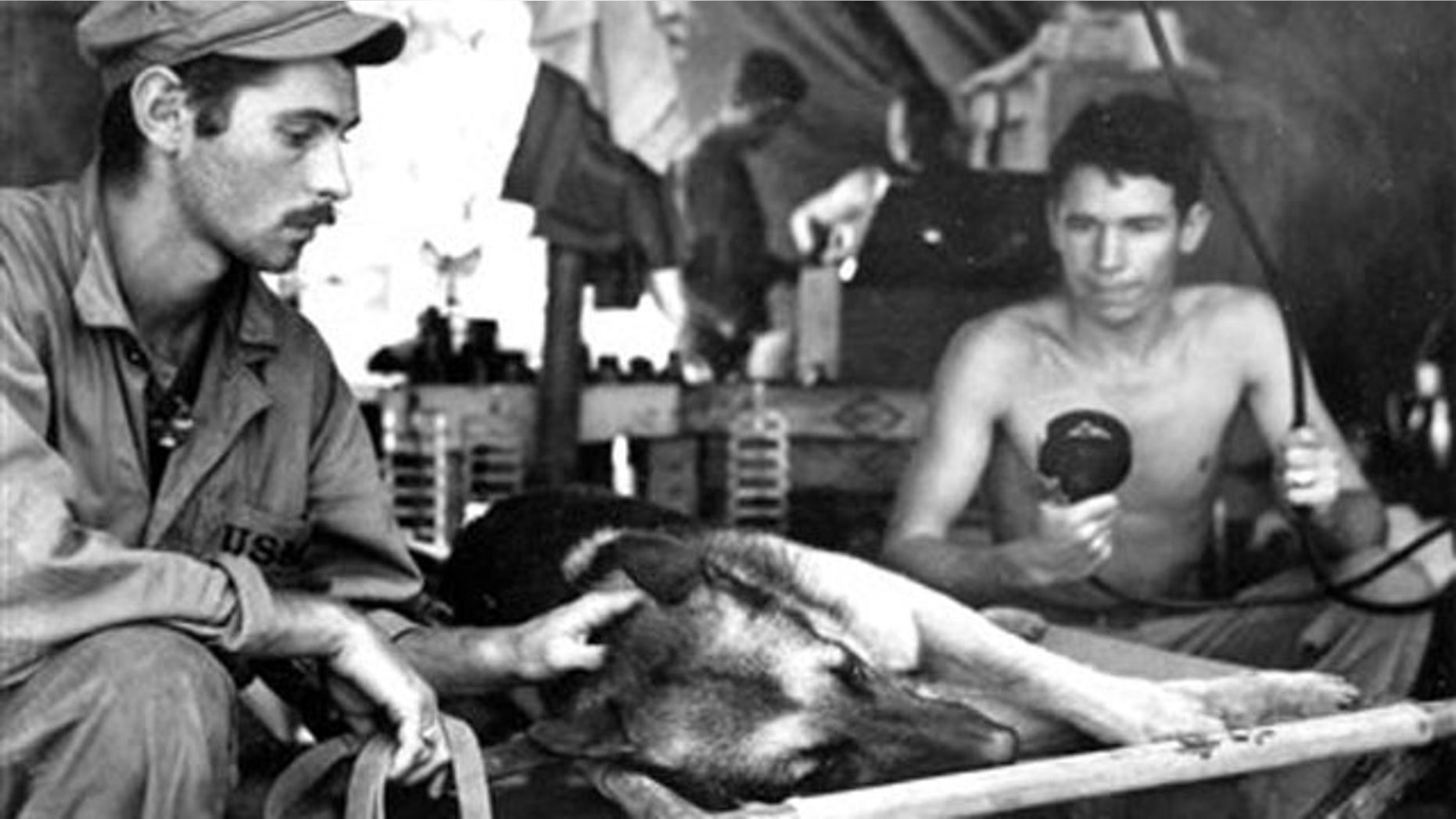 This undated photo provided by the National Archives via the National World War II Museum shows a Marine Corps dog handler as he comforts his German shepherd while the dog is X-rayed after being shot by a Japanese sniper on Bougainville, The dog died of its injuries. The photograph is part of an exhibit, titled "Loyal Force: Animals at War," to be displayed at the National World War II Museum in New Orleans from July 22-Oct. 17. (AP Photo/National Archives via the National World War II Museum)