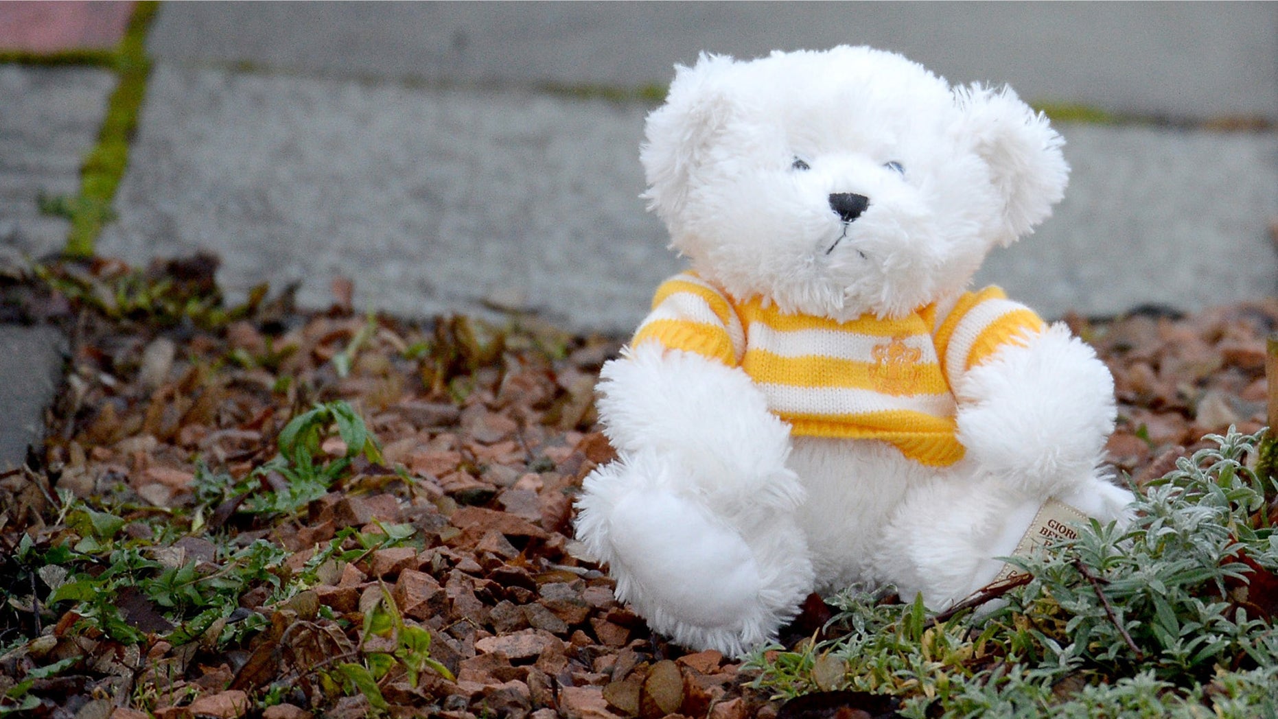 KIRKCALDY, SCOTLAND - JANUARY 18: A teddy bear is left outside a bungalow in Dunvegan Acenue in Kirkcaldy where a young boy's body believed to be Mikaeel Kular, 3, was found last night on January 18, 2014 in Kircaldy, Scotland. Mikaeel was reported missing from his home in Edinburgh on January 15. His mother Rosdeep has been detained by police. (Photo by Jeff J Mitchell/Getty Images)