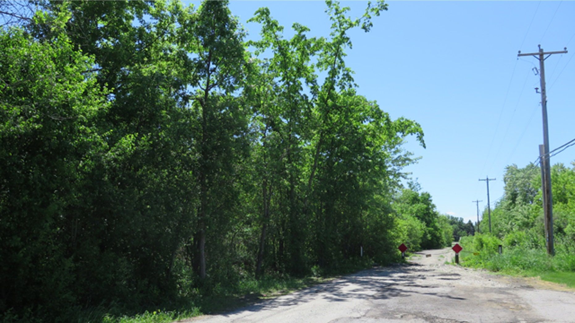 June 3, 2014: This photo shows the site in Waukesha, Wis., where a bicyclist found a 12-year-old girl who had 19 stab wounds. Two 12-year-old girls are accused of stabbing the girl in the woods to please a fictional character they learned about online. (AP Photo/Carrie Antlfinger, File)