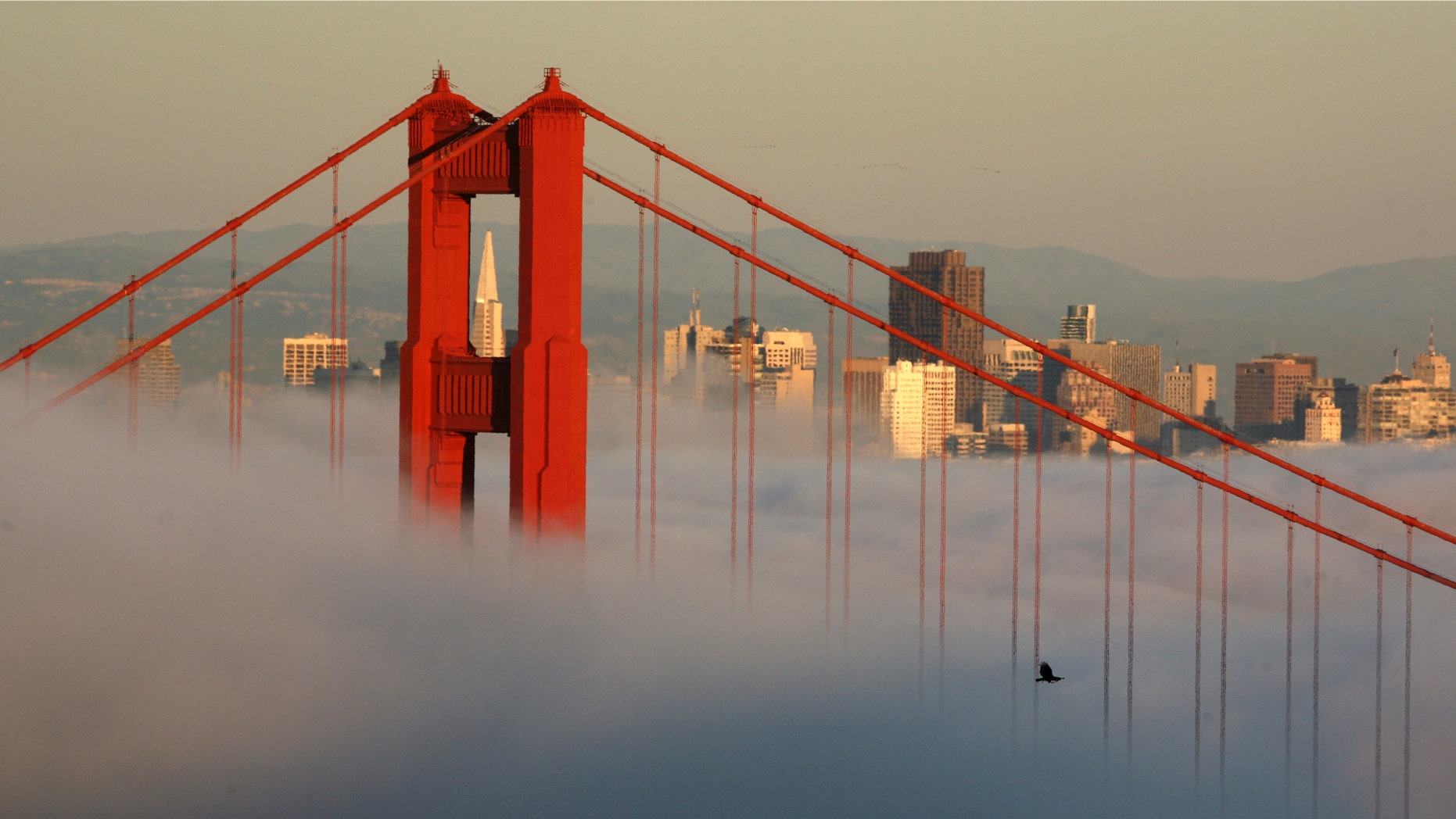 FILE: April 18, 2009: The skyline of San Francisco and the Golden Gate Bridge appear above the evening fog in Sausalito, Calif.