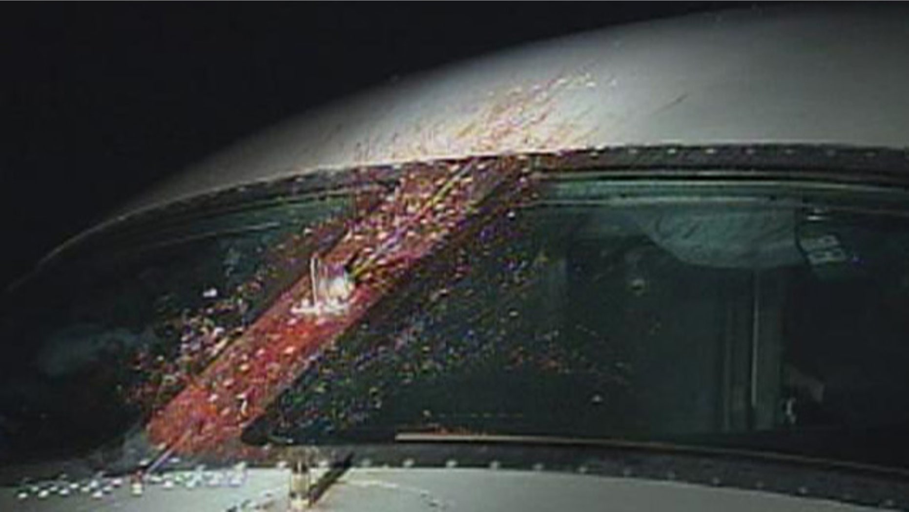 April 24, 2012: A goose hits a window of a Jet Blue plane.