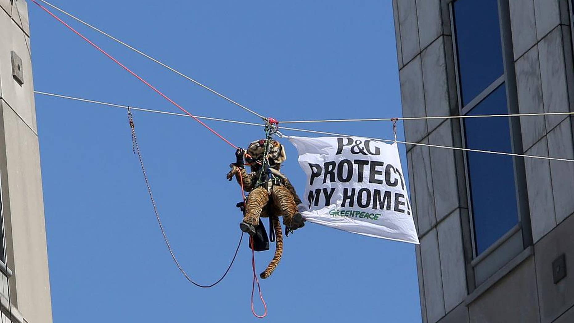 FILE - This Tuesday, March 4, 2014 file photo shows Greenpeace activists, including this one dressed in a tiger suit, rappel and hang banners in protest of Procter & Gamble outside of the company's headquarters, in downtown Cincinnati, Tuesday, March 4, 2014. Eight Greenpeace activists who staged a stunning protest at Procter & Gamble Co. headquarters are due back in Cincinnati to accept a plea agreement offered at P&G’s request. (AP Photo/The Cincinnati Enquirer Amanda Rossmann, File)