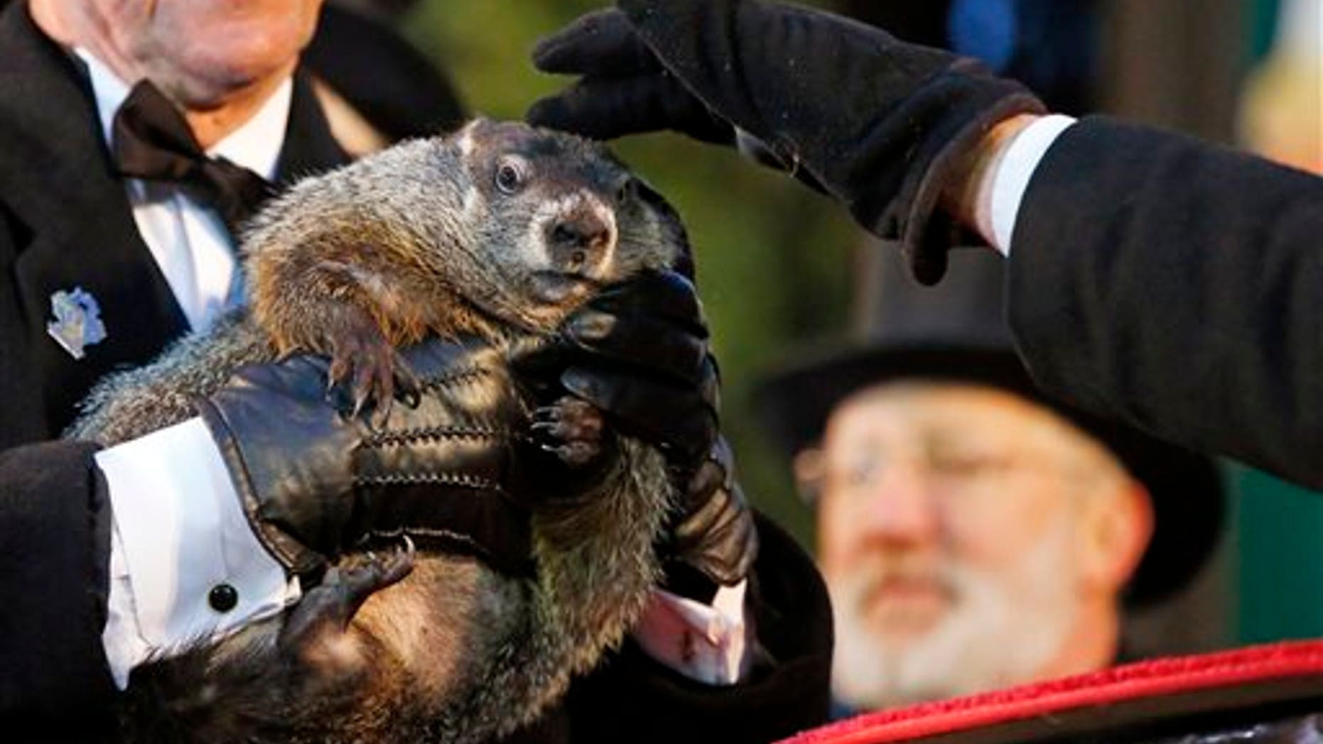 Feb. 2: Groundhog Club handler Ron Ploucha holds Punxsutawney Phil, the weather prognosticating groundhog, as co-handler John Griffiths rubs his head, during the 129th celebration of Groundhog Day on Gobble's Knob in Punxsutawney, Pa.