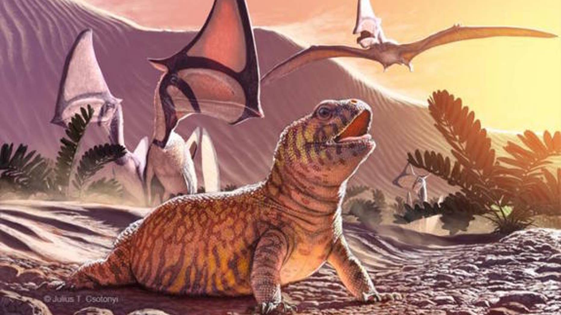The newfound lizard species Gueragama sulamerica was found at a site in Brazil known for its pterosaurs fossils