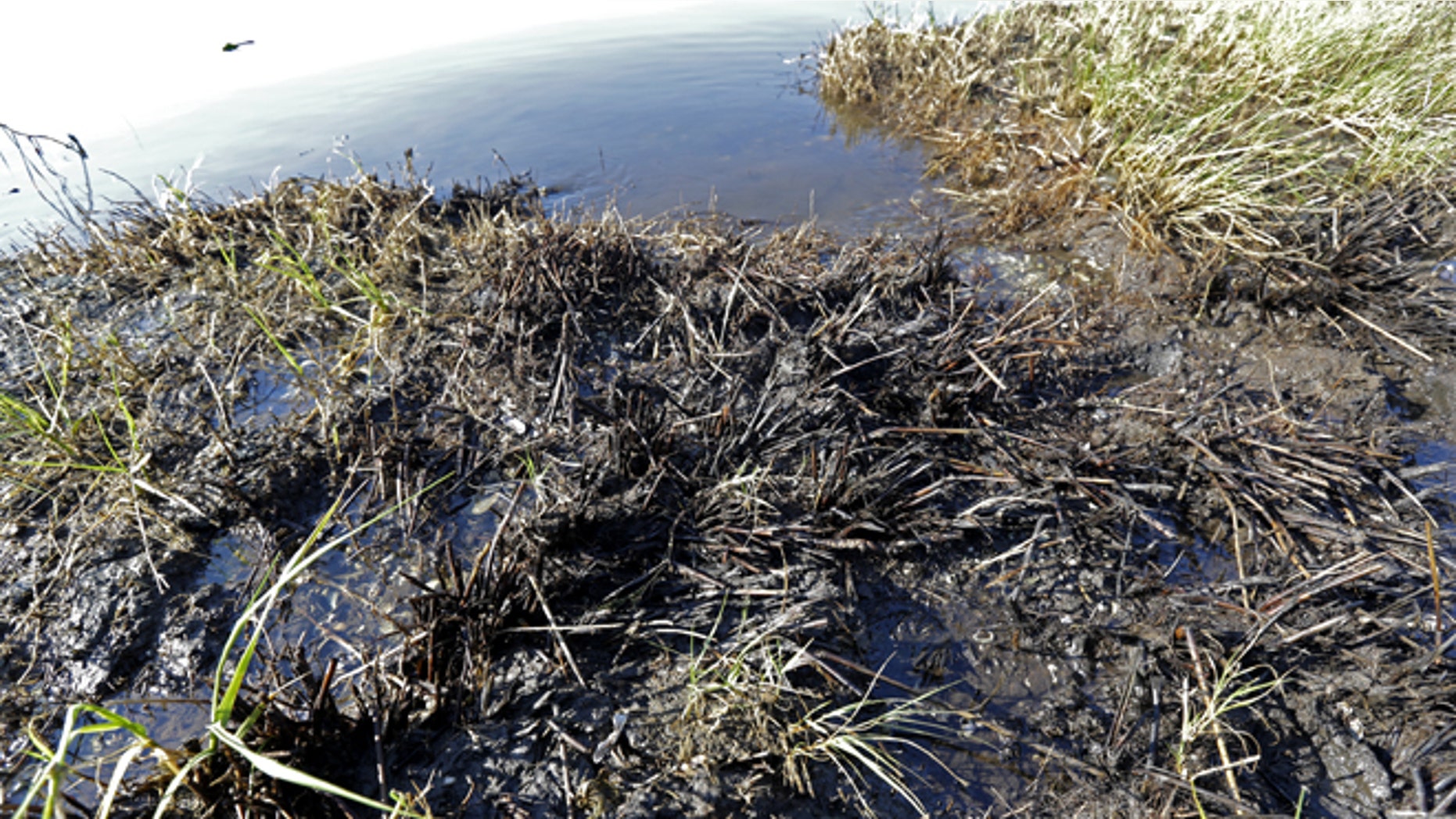 Sept. 27, 2013: The shoreline of Bay Jimmy, which was heavily impacted by the Deepwater Horizon oil spill, is seen in an area that has tar mats and oozing crude oil on the marsh platform, in Plaquemines Parish, La.