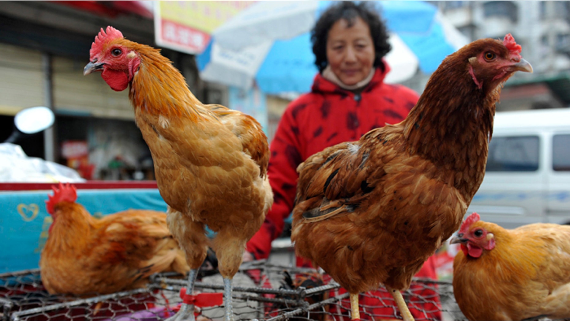 A vendor waits for customers near chicken cages at a market in Fuyang city, in central China's Anhui province. Two Shanghai men have died from a lesser-known type of bird flu in the first known human deaths from the strain.