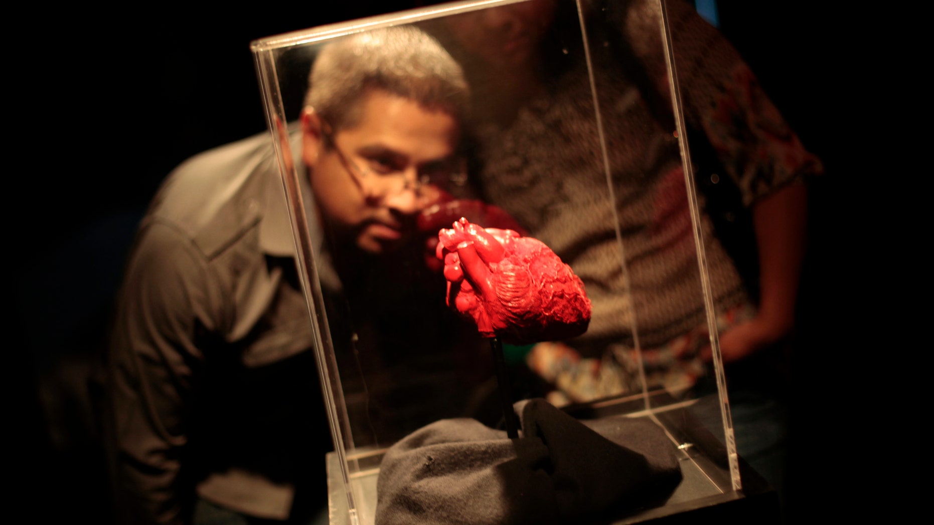 A man looks at a plastinated heart during the exhibition 'Body Worlds' by Gunther von Hagen at the Museo Miraflores in Guatemala City July 6, 2012.