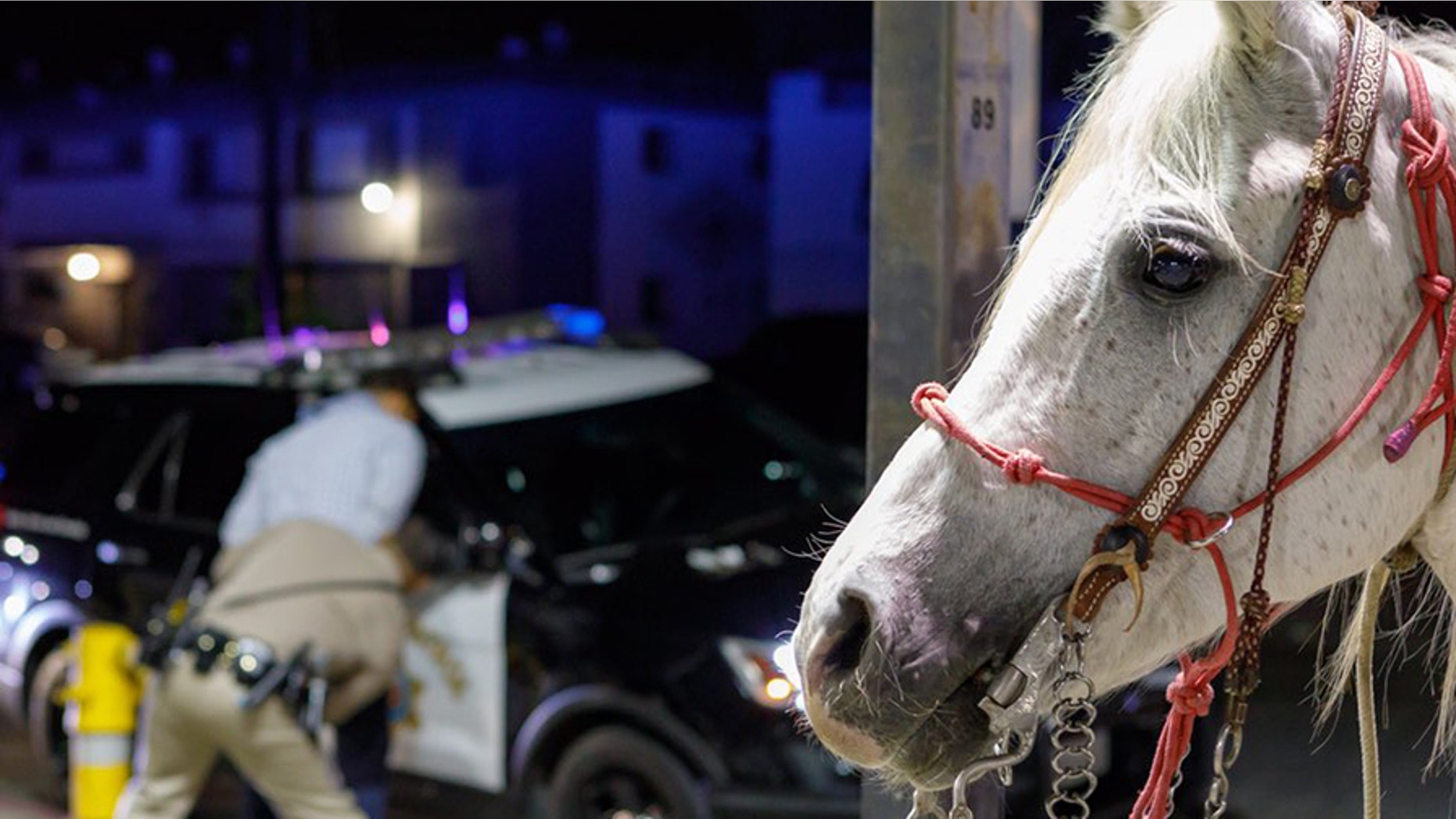 A man was arrested on a DUI charge on Saturday after he was spotted riding a horse along a busy Southern California freeway.