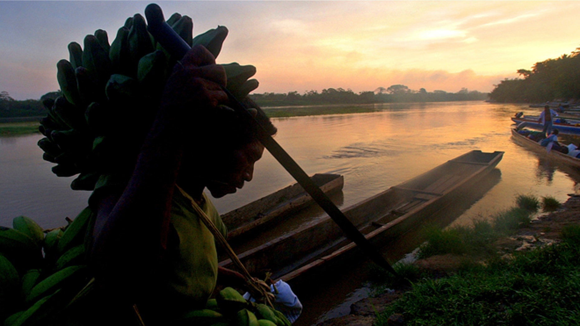 A Miskito Indian carries bananas on his head on the banks of the Coco river near the town of Waspan, Nicaragua, on the border with Honduras.