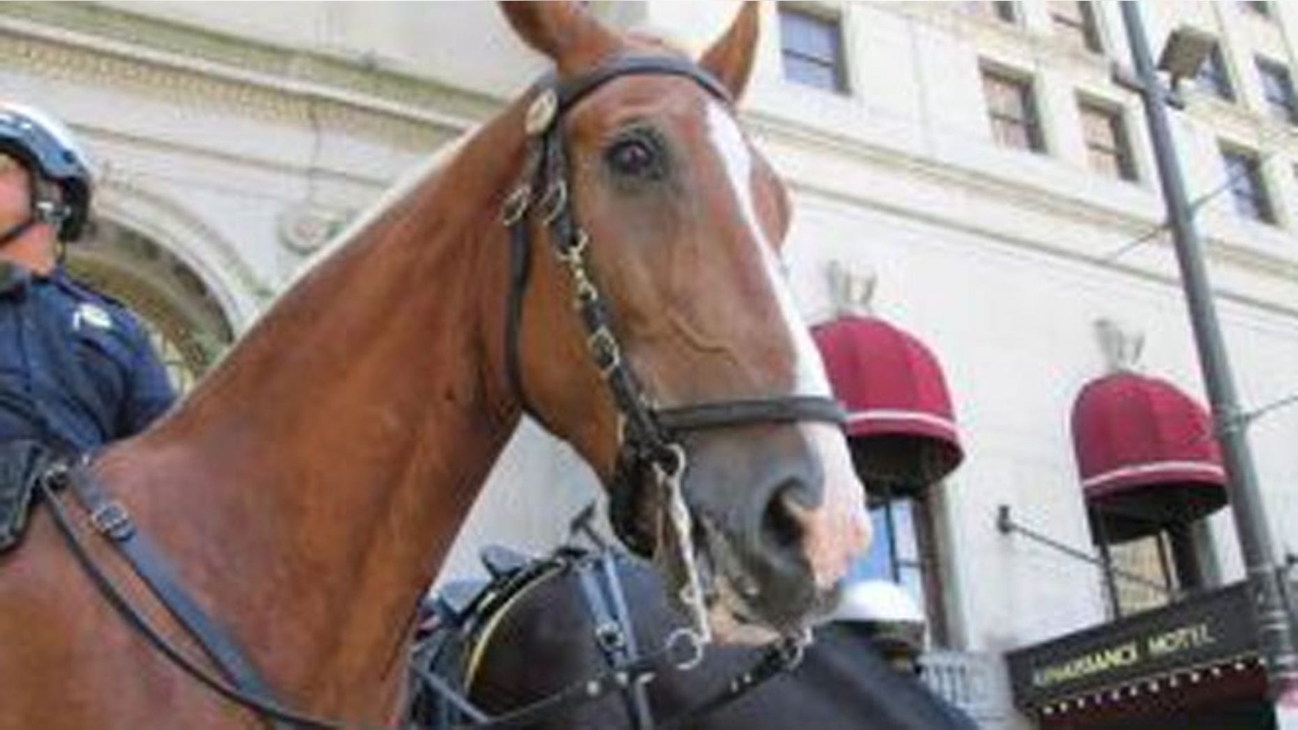 A Cleveland police officer said he witnessed an assault and followed the suspect on horseback.