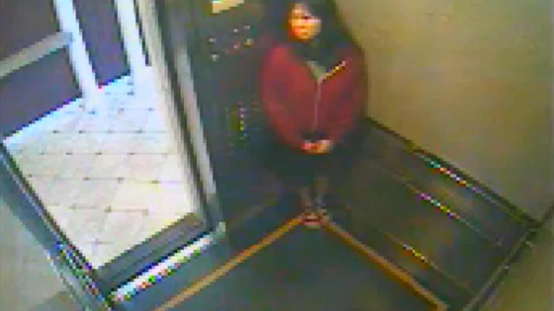 This still image taken from a security video was released on Feb. 13, 2013, by the Los Angeles Police Department in connection with the search for 21-year-old missing Canadian tourist Elisa Lam. In this image, a woman believed to be Lam appears to hide in an elevator in the Cecil Hotel in downtown Los Angeles on Thursday, Jan. 31, the last day she was seen alive. A maintenance worker at the hotel found Lam's body in a water cistern on the building's roof on Feb. 19, more than two weeks after she had gone missing. (AP Photo/Los Angeles Police Department)