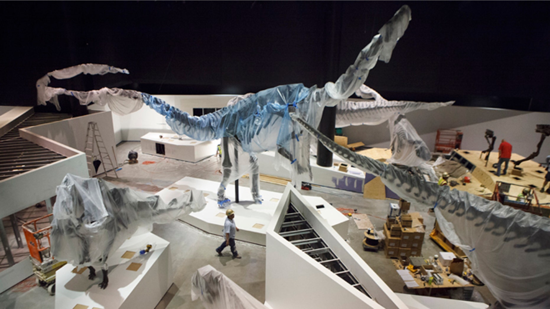 May 15, 2012: Construction workers finish the new Hall of Paleontology at the Houston Museum of Natural Science. The $85 million wing of the museum will have the only Triceratops skin found to date and a unique T-rex fossil with complete hands. The exhibit that opens June 2.