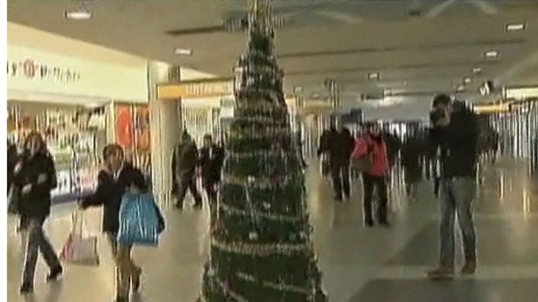 Photo of Scott LoBaido dressed as a Christmas Tree.