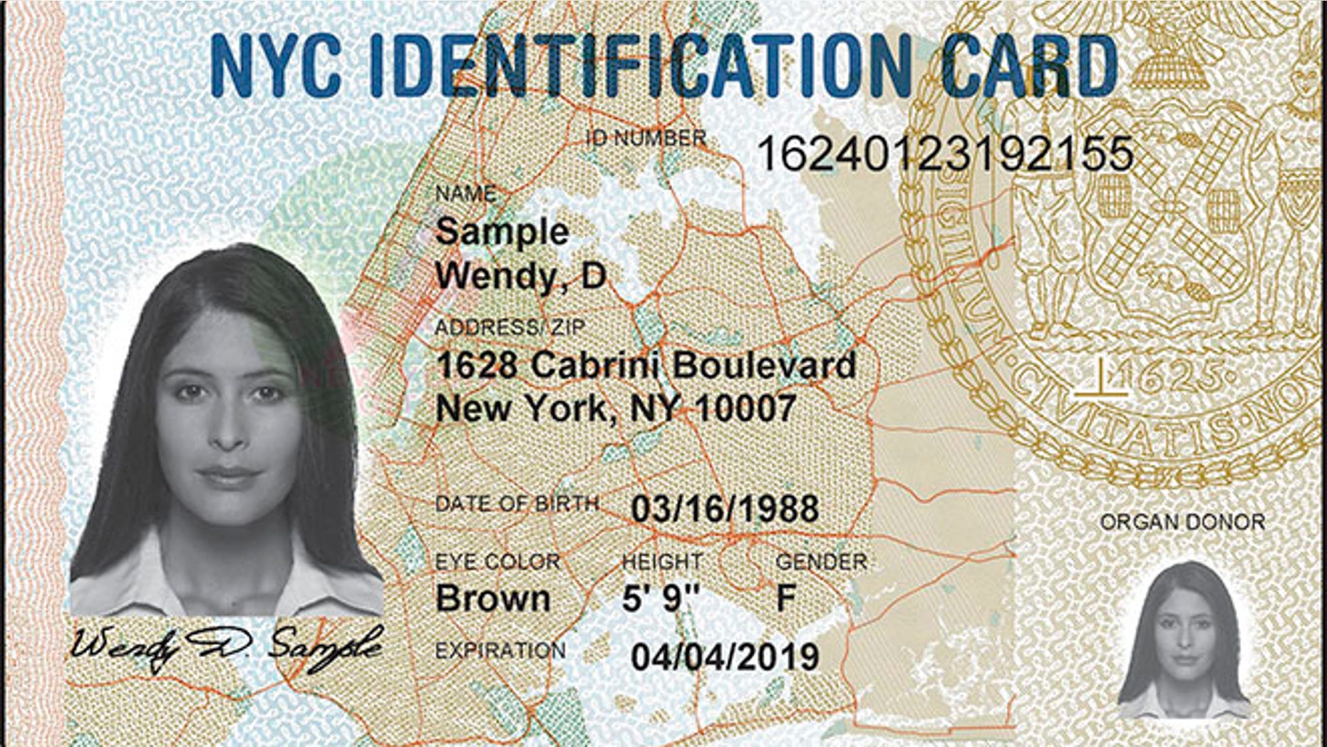 A sample ID card issued by New York City.