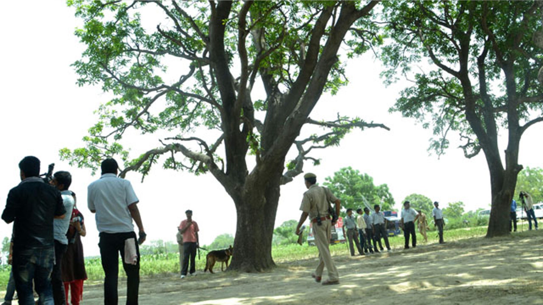 May 31, 2014: A police dog stands near the tree where two teenage girls were found hanging after they were gang raped in Katra village in the northern Indian state of Uttar Pradesh. (AP Photo/Rajeev Pal)