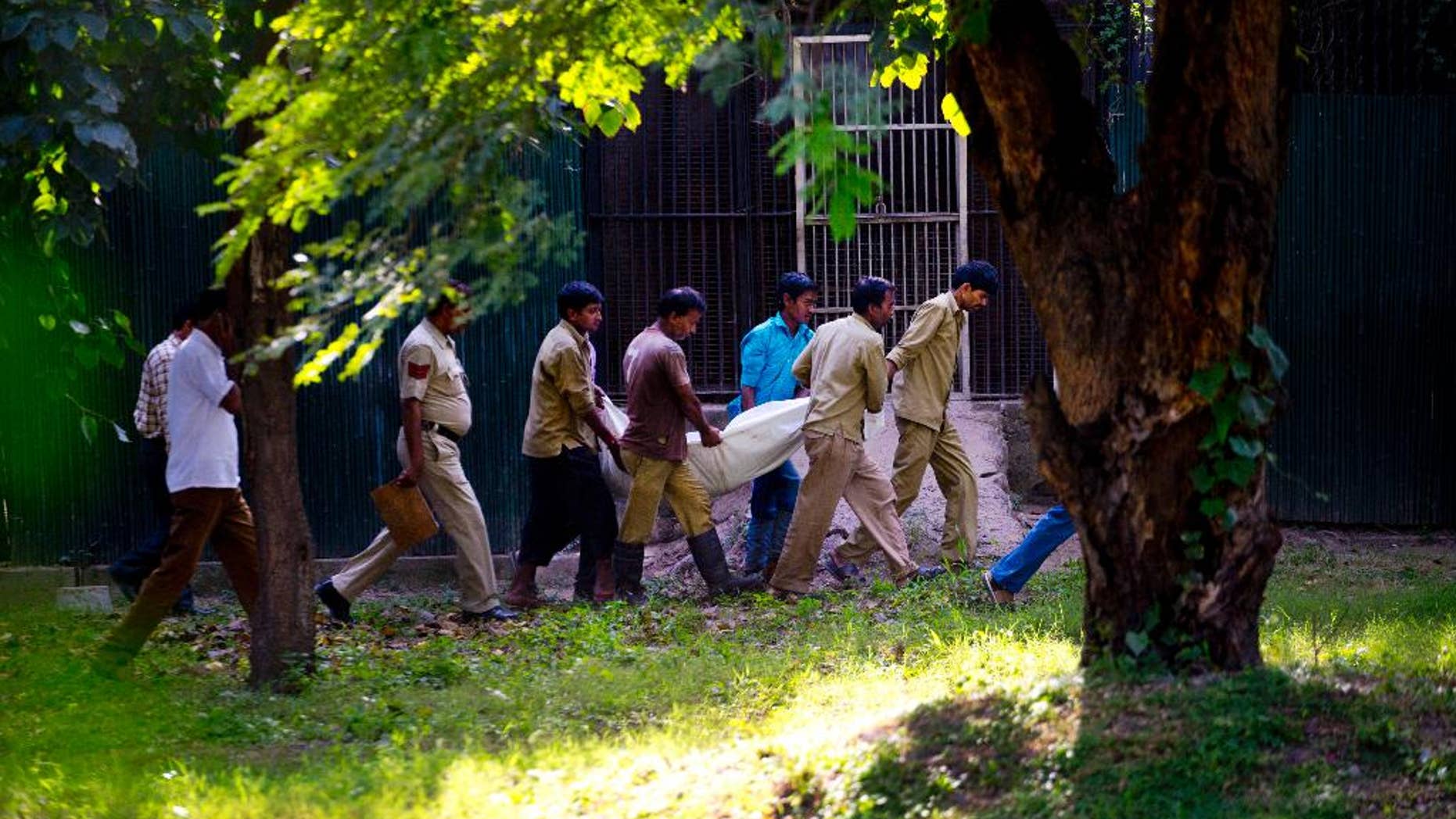 Sept. 23, 2014: Workers carry the body of a man who was killed by a white tiger past its cage at the zoo in New Delhi, India. The white tiger killed the man who climbed over a fence and jumped into the animal's enclosure Tuesday, a spokesman said.