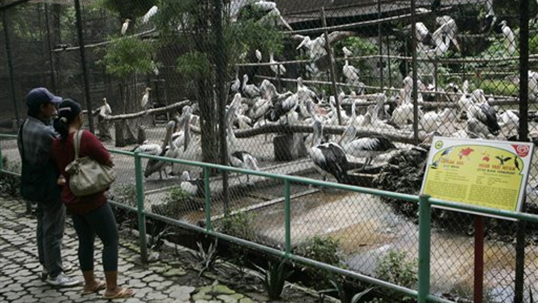 Nightmare zoo in Indonesia shaken by giraffe death Fox News Nightmare zoo in Indonesia shaken by giraffe death Fox News