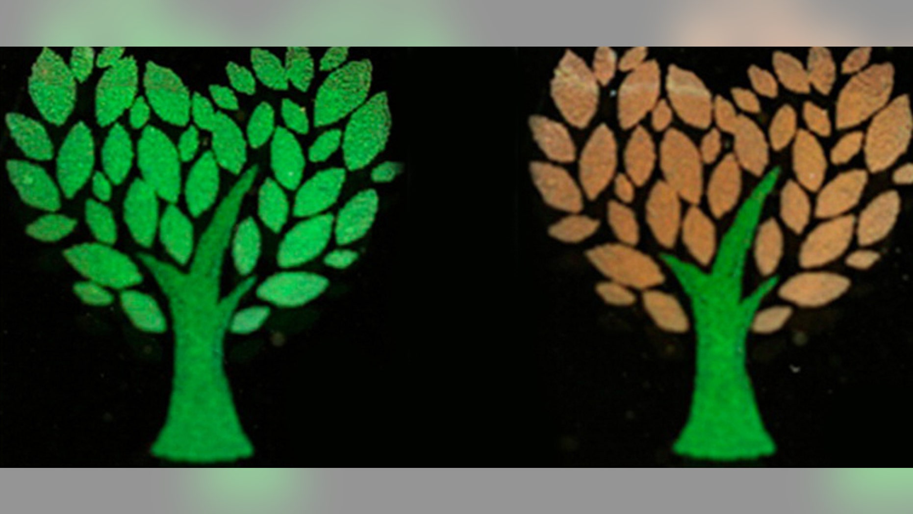 A new color-changing ink could help fight fraud.