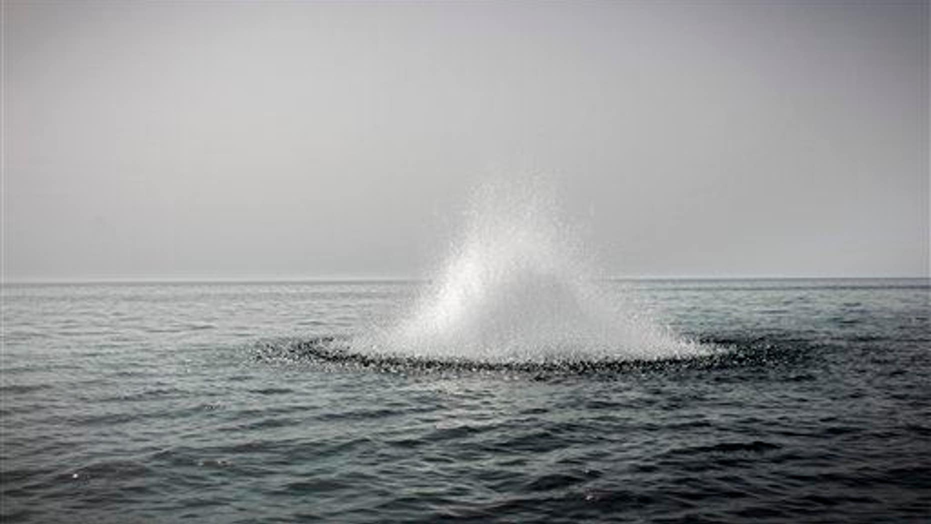 Blast fishing destroys coral reefs and sea life, but it's lucrative for poor fishermen in Tanzania.