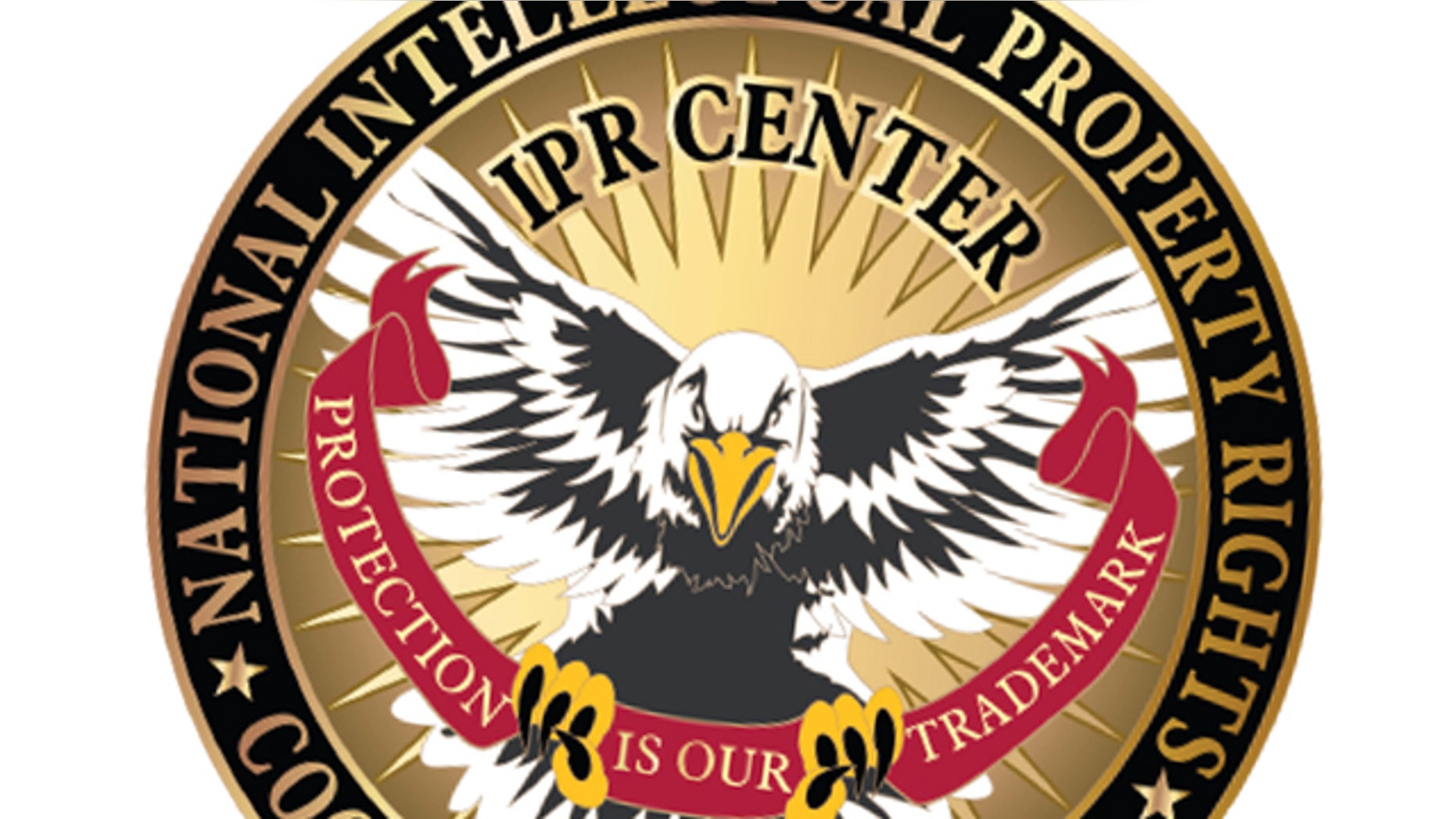 The logo for the National Intellectual Property Rights Coordination Center, a key weapon in the fight against counterfeiting and piracy.