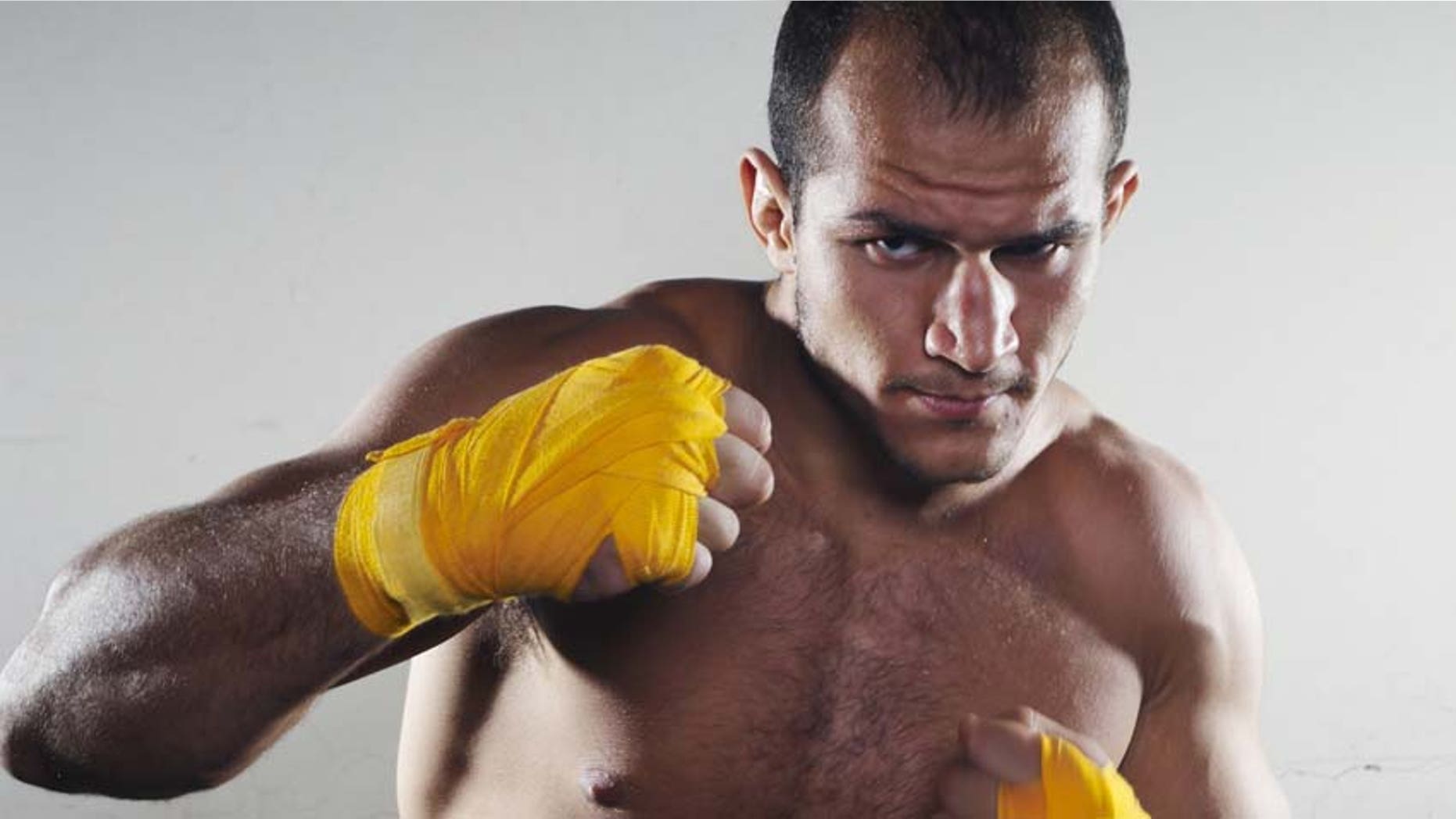 UFC heavyweight champion Junior Dos Santos.
