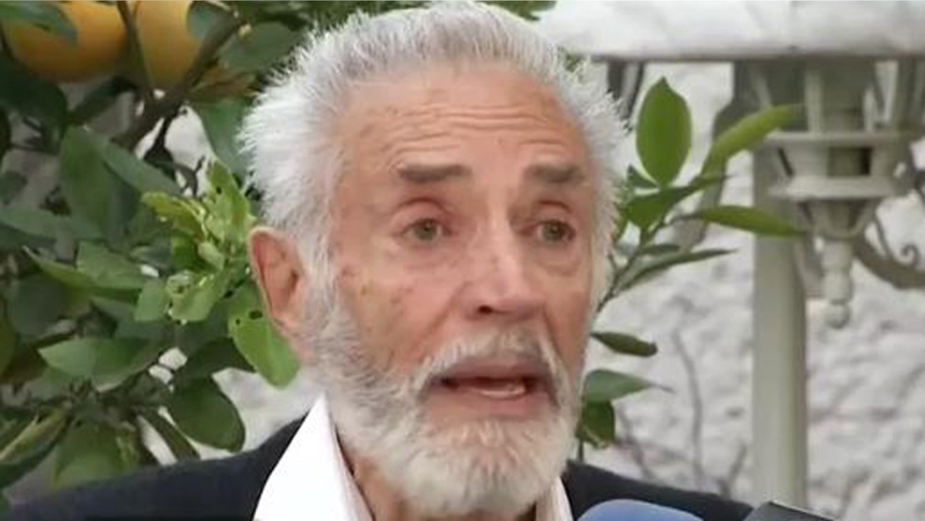 Julio Alemán