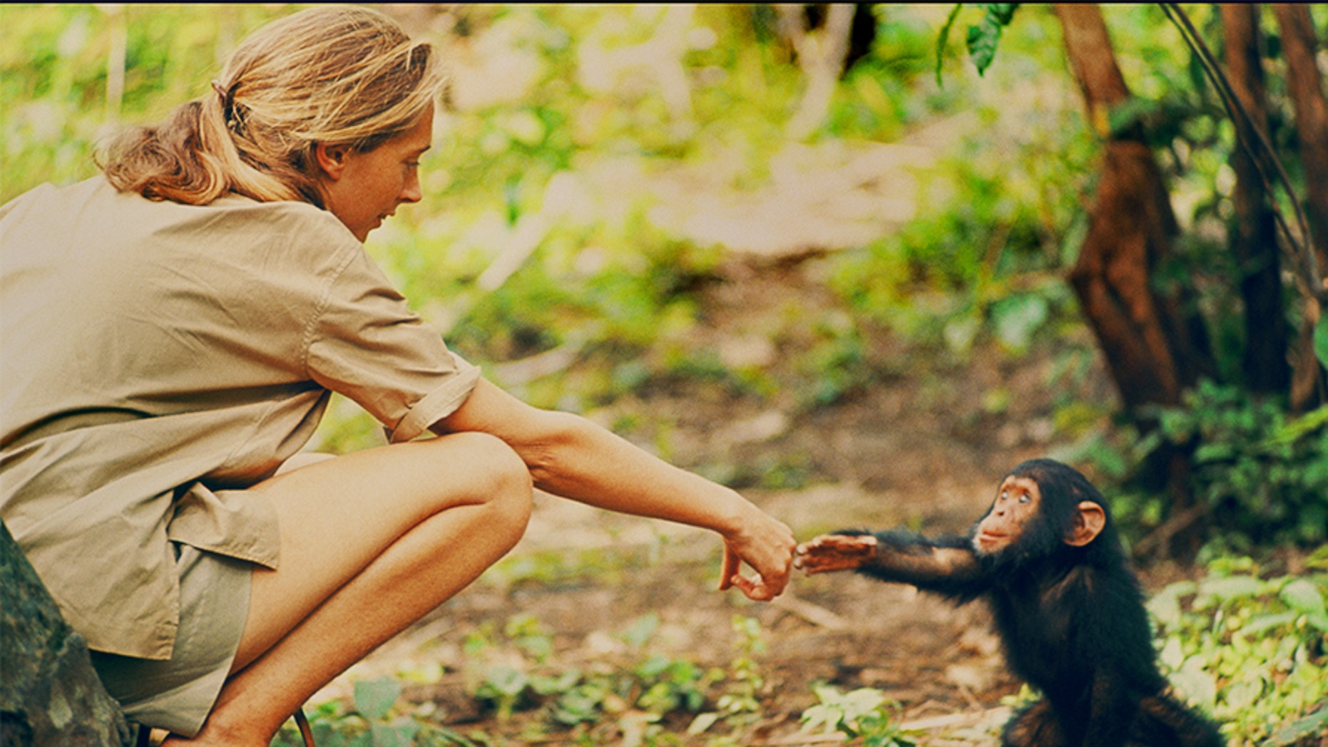 Jane Goodall says humanity is doomed if we don't change after this