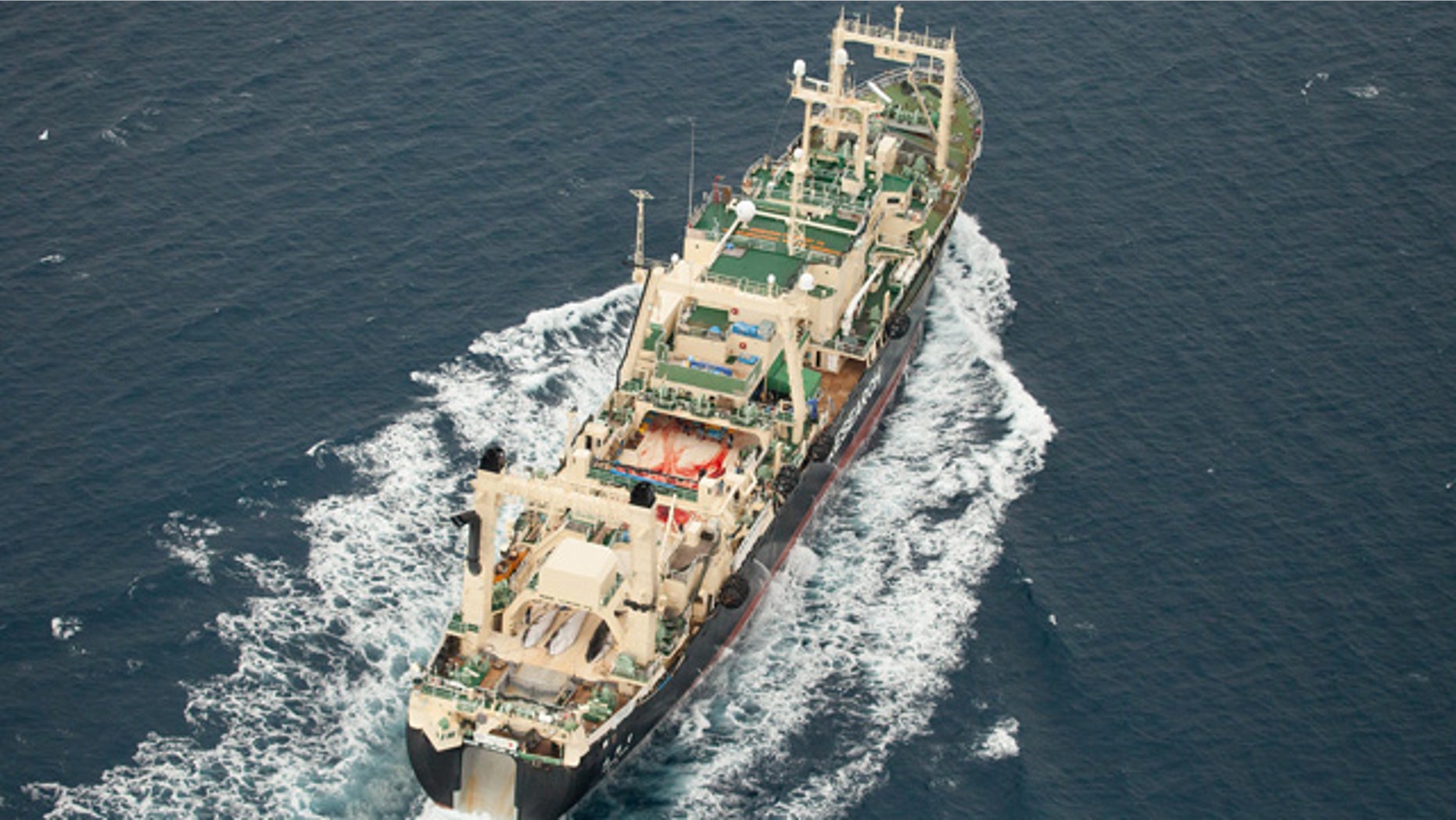 FILE - In this Jan. 5, 2014 file photo released by Sea Shepherd Australia, three dead minke whales lie on the deck of the Japanese whaling vessel Nisshin Maru as it travels through the Southern Ocean. Japan is seeking to resume Antarctic whaling next year under a revised research program that would involve fewer killings and only minke whale, following the U.N. top court's rejection of an earlier program. (AP Photo/Tim Watters, Sea Shepherd Australia, File)