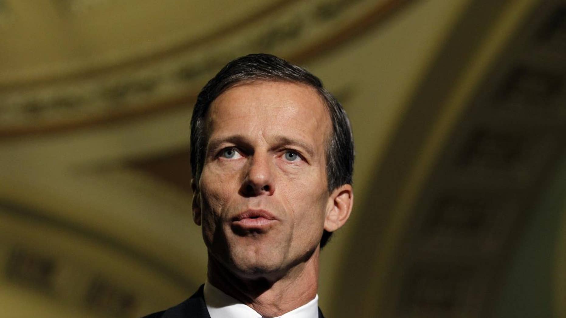 Sen. John Thune, R-S.D., speaks during a news conference on Capitol Hill in Washington Tuesday, Nov. 16, 2010.(AP Photo/Alex Brandon)