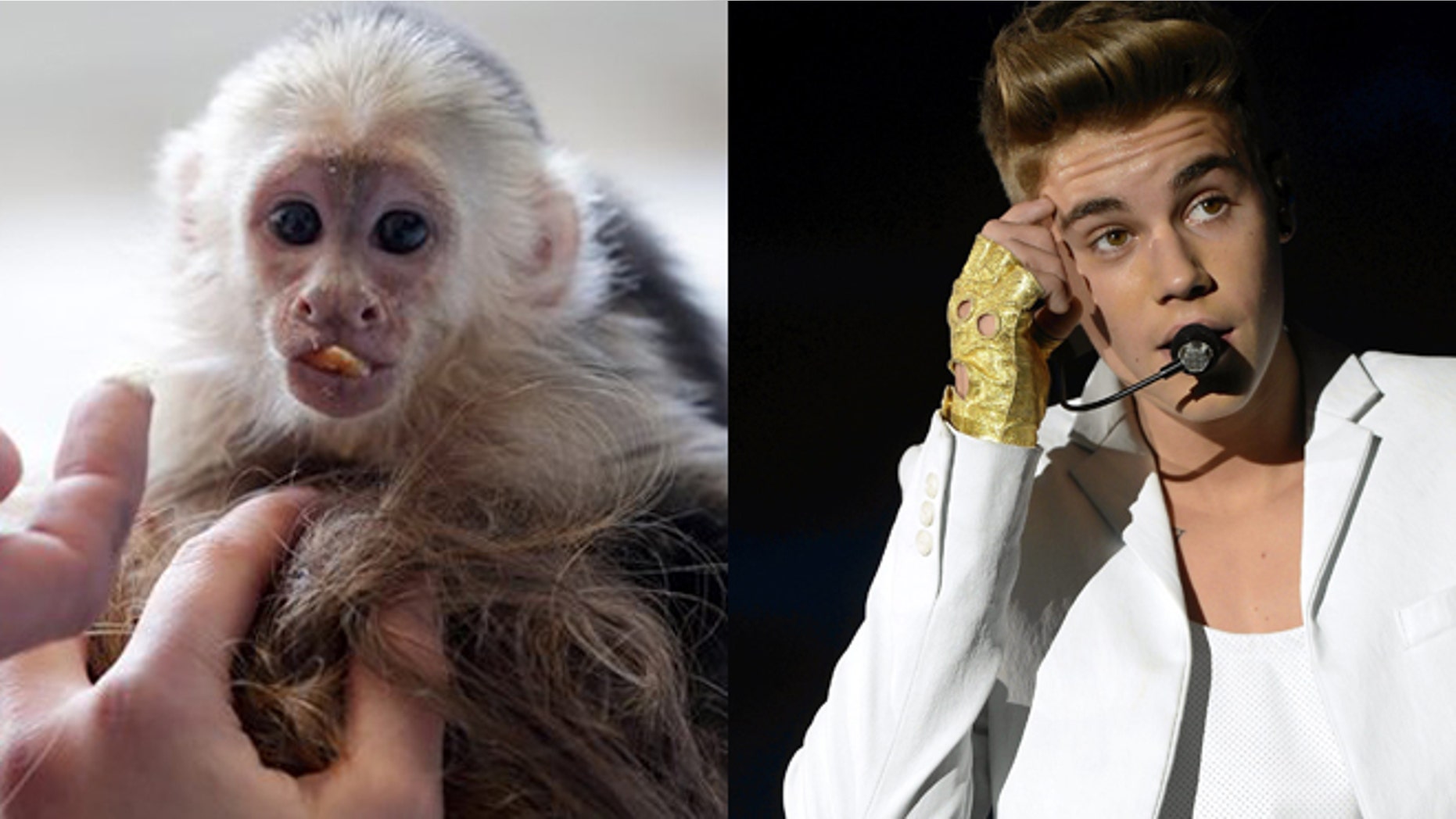 Justin Bieber, right, and his pet monkey are shown.
