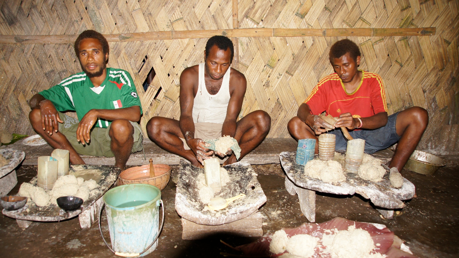 Native Pacific Islanders ground kava.