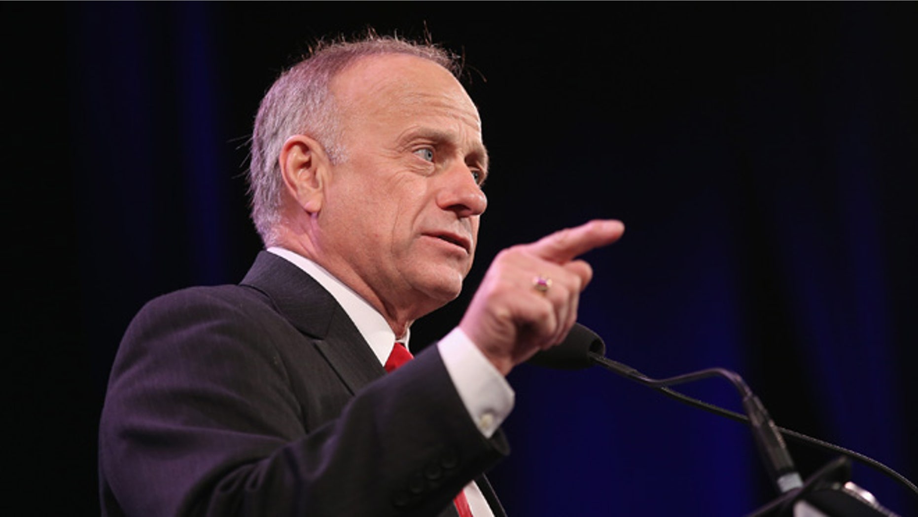 U.S. Representative Steve King (R-IA) speaks to guests at the Iowa Freedom Summit on January 24, 2015 in Des Moines, Iowa. (Photo by Scott Olson/Getty Images)