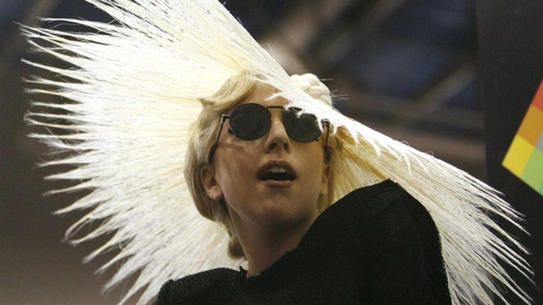 Singer Lady Gaga attends a media event where she was announced as Polaroid creative director at the 2010 International Consumer Electronics Show (CES) in Las Vegas January 7, 2010. The show runs January 7-10. REUTERS/Mario Anzuoni (UNITED STATES - Tags: BUSINESS ENTERTAINMENT)