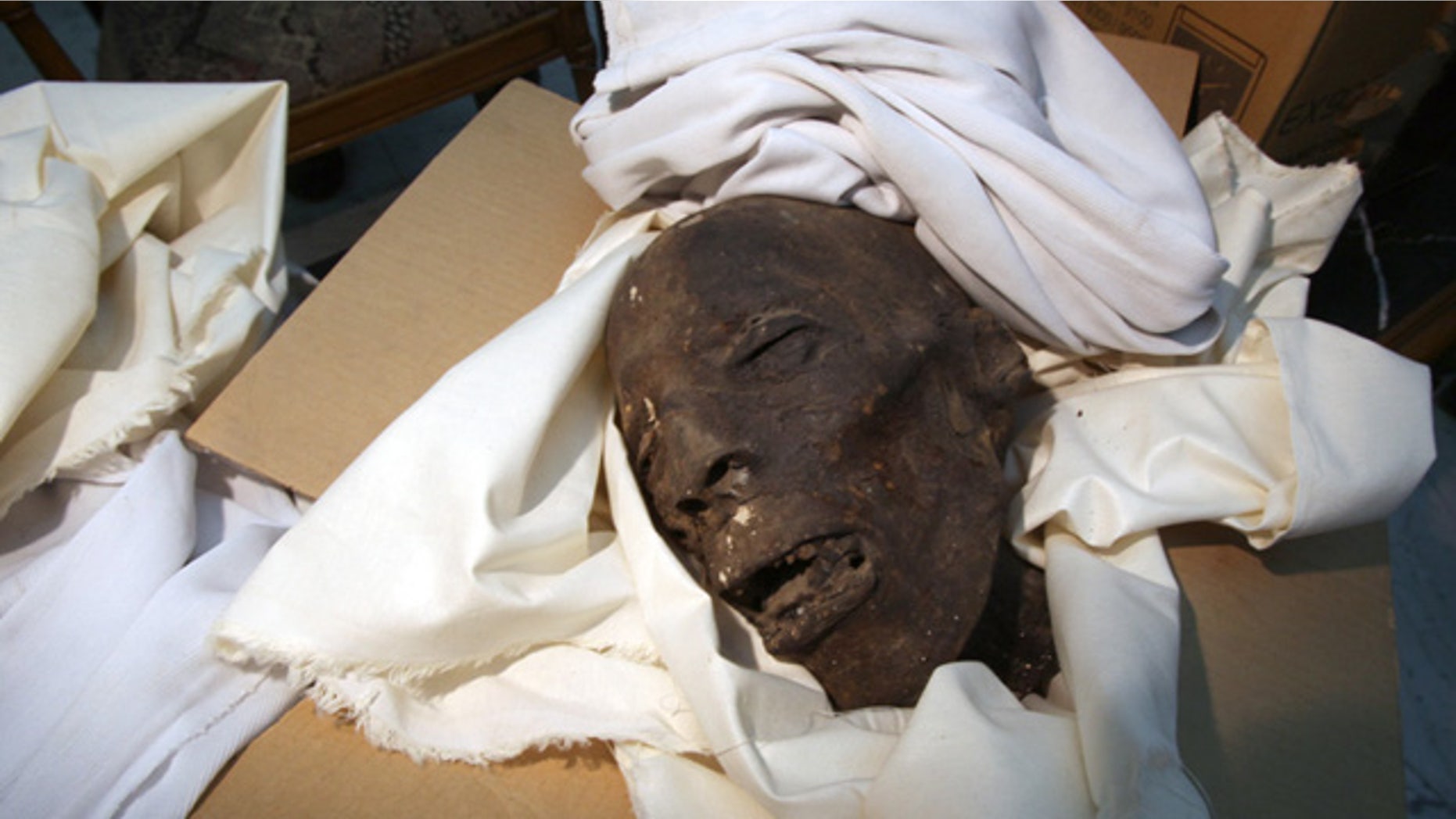 One of the Late Period Skull in the storage room next to the CT scanner lab at the Egyptian Museum, Cairo.