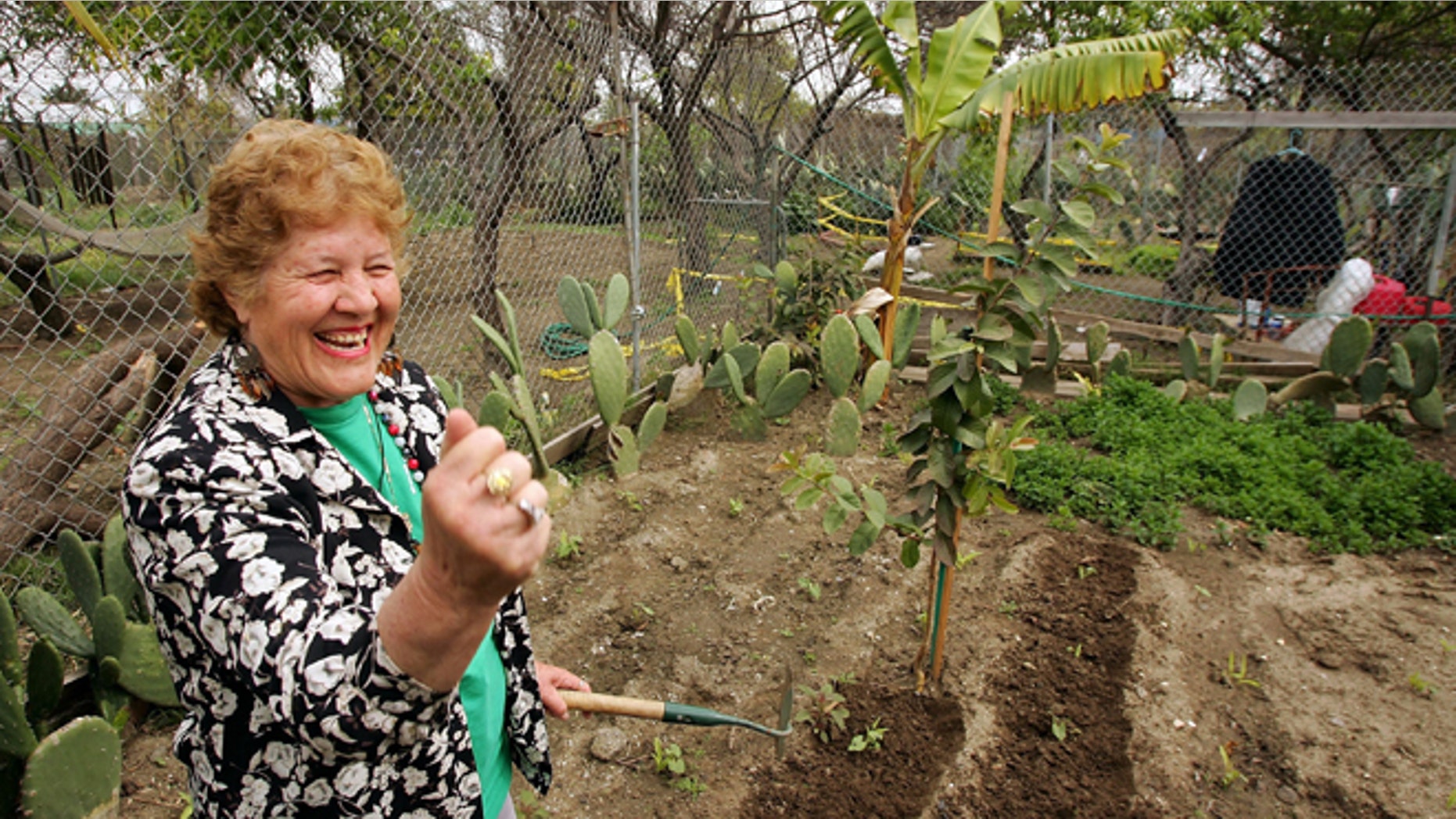 LOS ANGELES, CA - MARCH 09: Maria Gonzalez gestures as she expresses her love for her garden plot at the South Central Community Farm on March 9, 2006 in Los Angeles, California. Owner and developer Ralph Horowitz has decided to erect a Wal-Mart warehouse on the site and ordered the eviction of the farmers who won a stay until a March 13 hearing to determine the fate of the 13-year-old community food farm. The 14-acre food garden is operated by about 350 Mexican and Guatemalan immigrant families who mostly live under the poverty line and is reportedly the nation's largest urban farm. (Photo by David McNew/Getty Images)