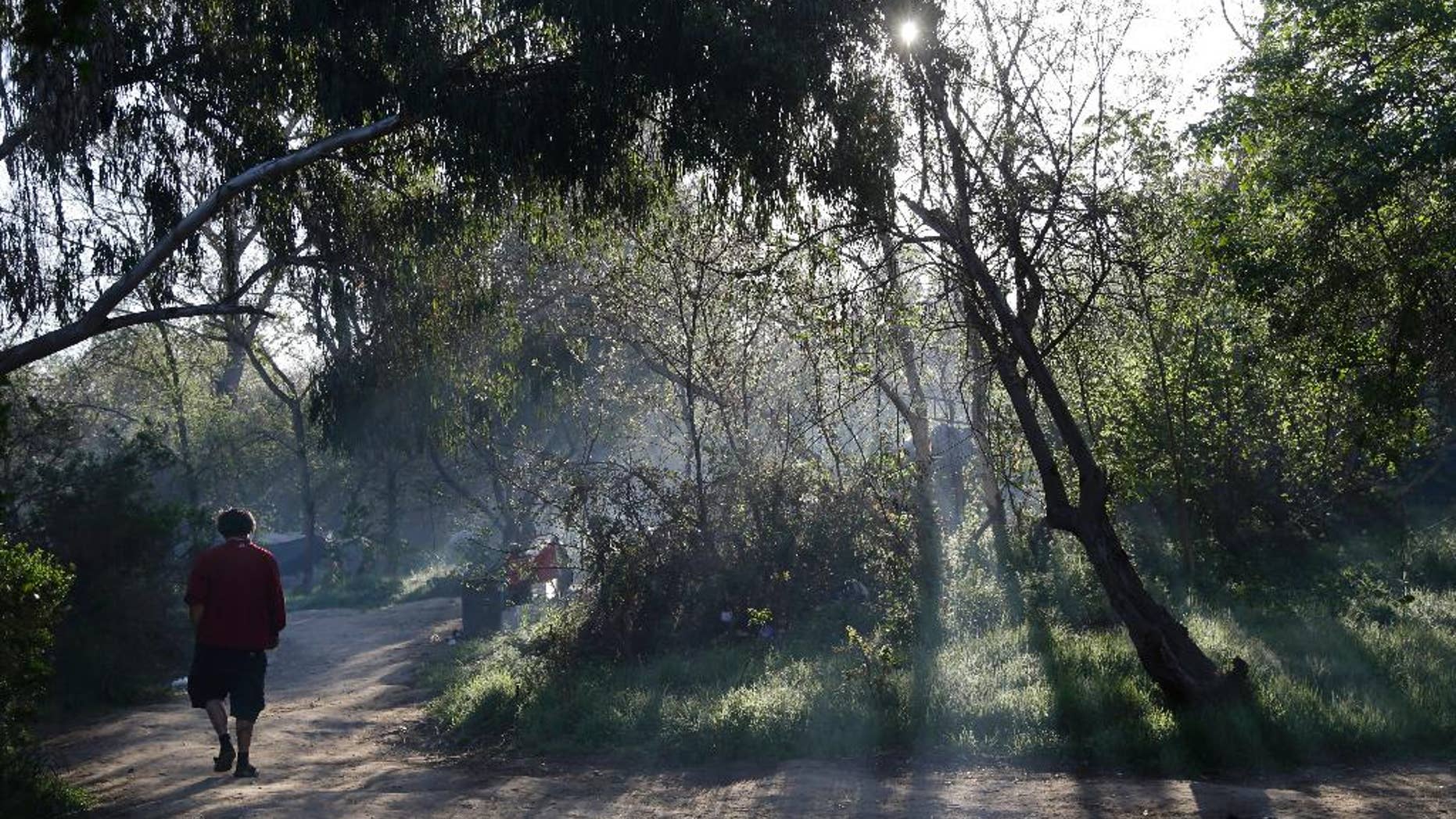 In this March 18, 2014 photo, man walks along a pathway in the early morning in the Jungle, a homeless encampment in San Jose, Calif. The Jungle is home at times to as many as 350 residents, almost all San Jose locals, and is believed to be the largest homeless encampment in the U.S. (AP Photo/Marcio Jose Sanchez)