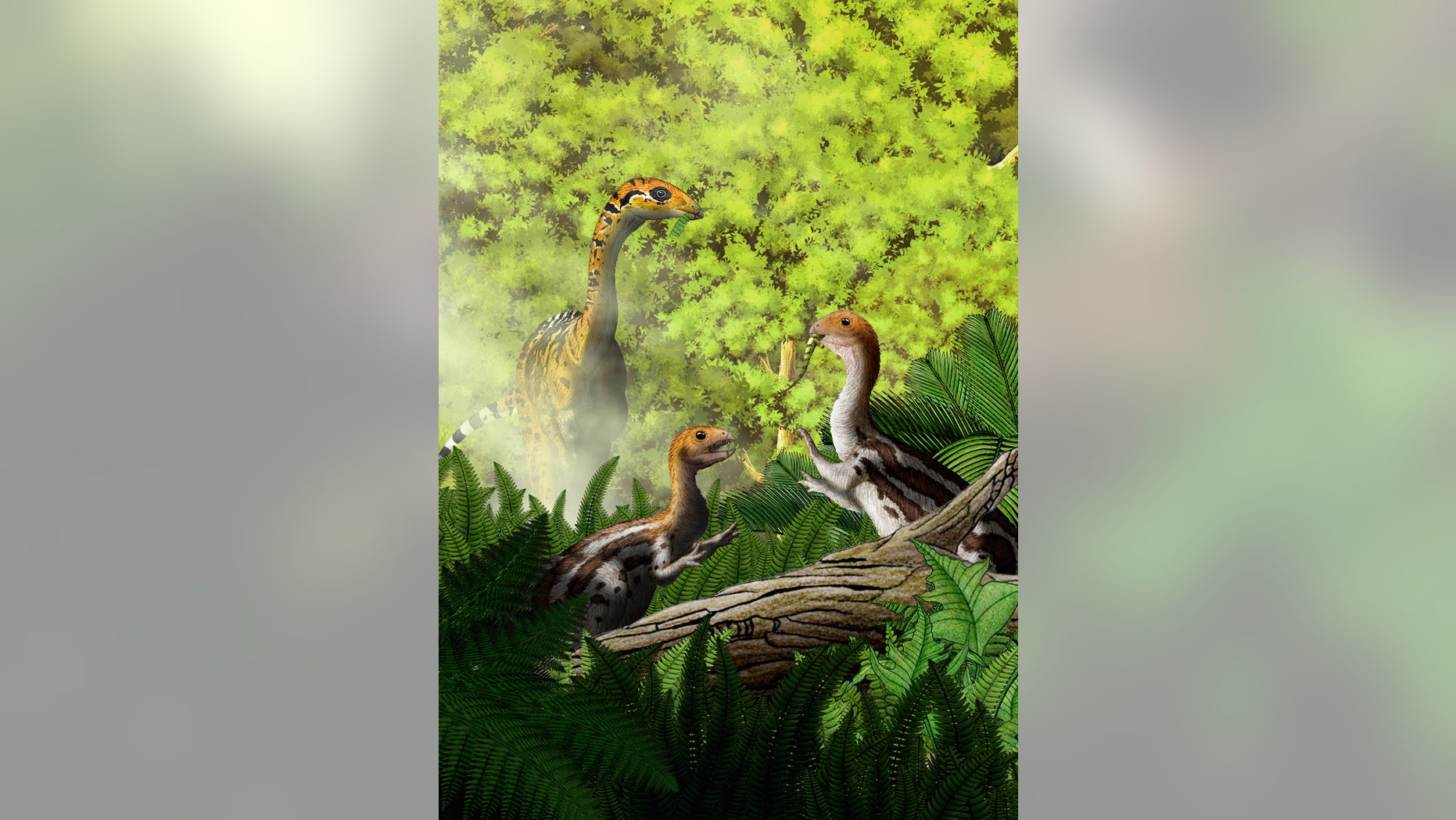 The baby <i>Limusaurus inextricabilis</i> dinosaur had teeth, allowing it to eat meat, whereas the adult did not have teeth, and likely ate plants.