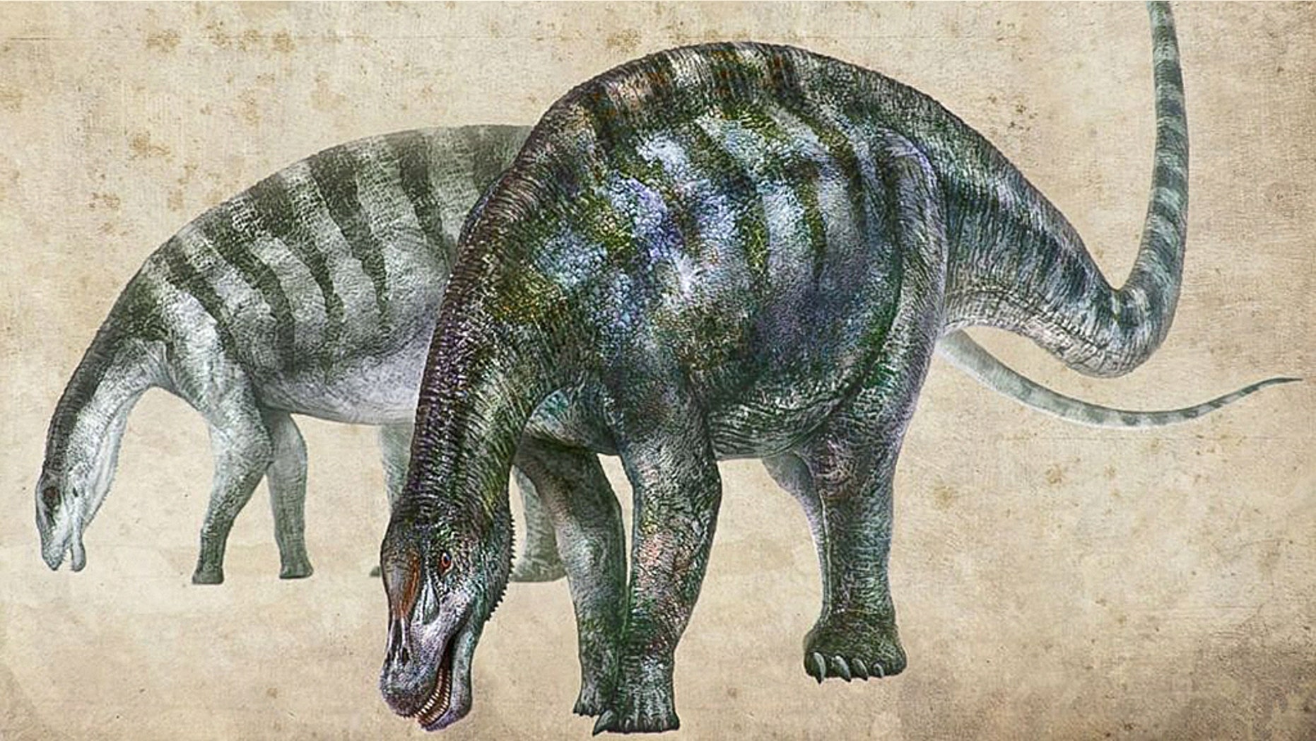 An artist's rendering of Lingwulong shenqi, a newly discovered dinosaur unearthed in northwestern China, appears in this image provided July 24, 2018.