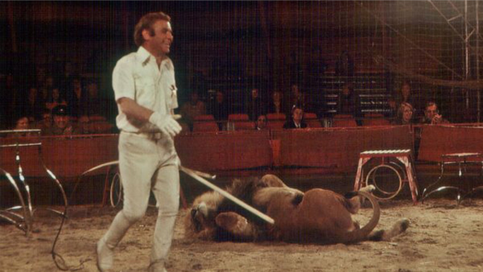 Lion tamer and circus director Gerd Siemoneit-Barum has a laugh in 1977. But in the future, U.K. circuses may not be able to have such displays, thanks to new legislation.
