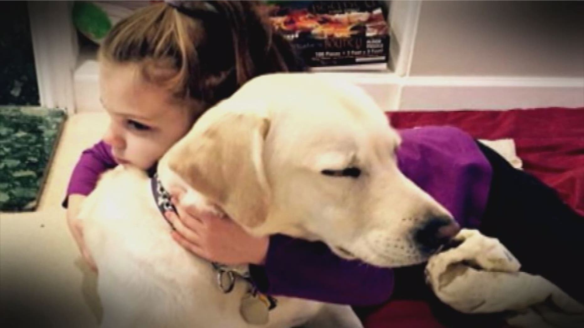 Kye and her service dog London.