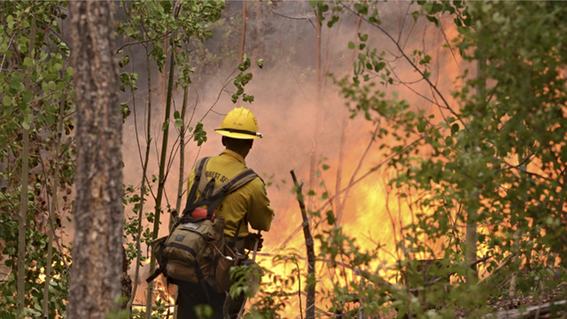 July 1: U.S. Forest Service firefighter Brandon DeLong of Quincy, Calif., monitors a burnout at Pajarito Mountain Ski Area in Albuquerque, N.M.